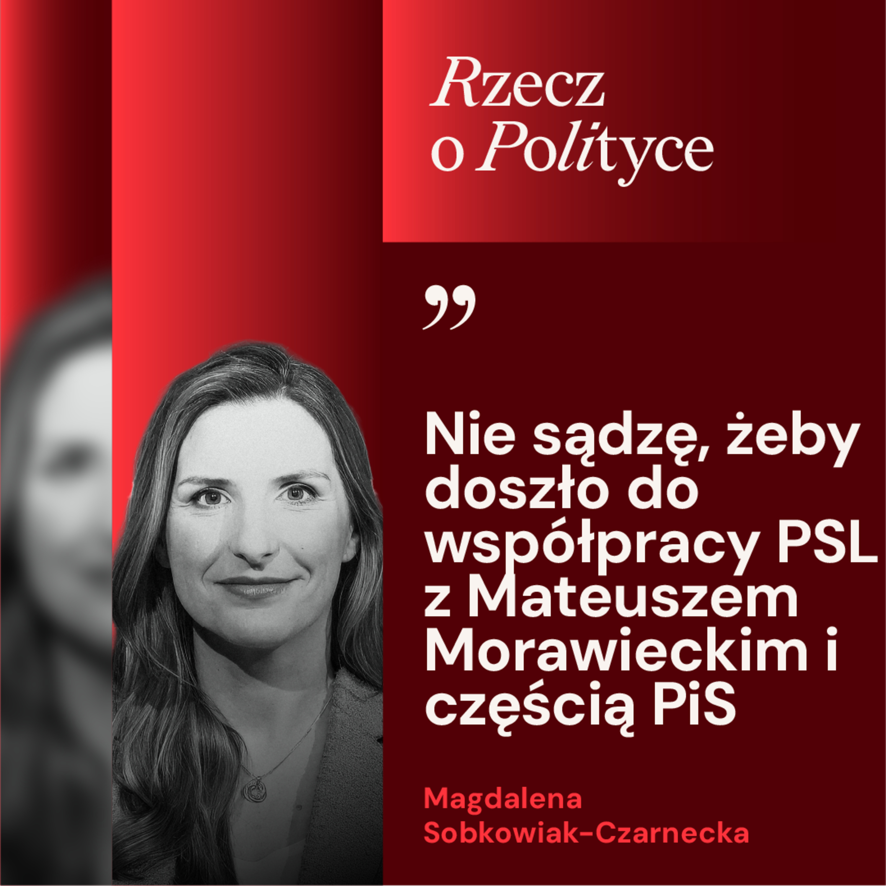 Magdalena Sobkowiak-Czarnecka o SAFE: Mimo weta nie stracimy żadnych środków
