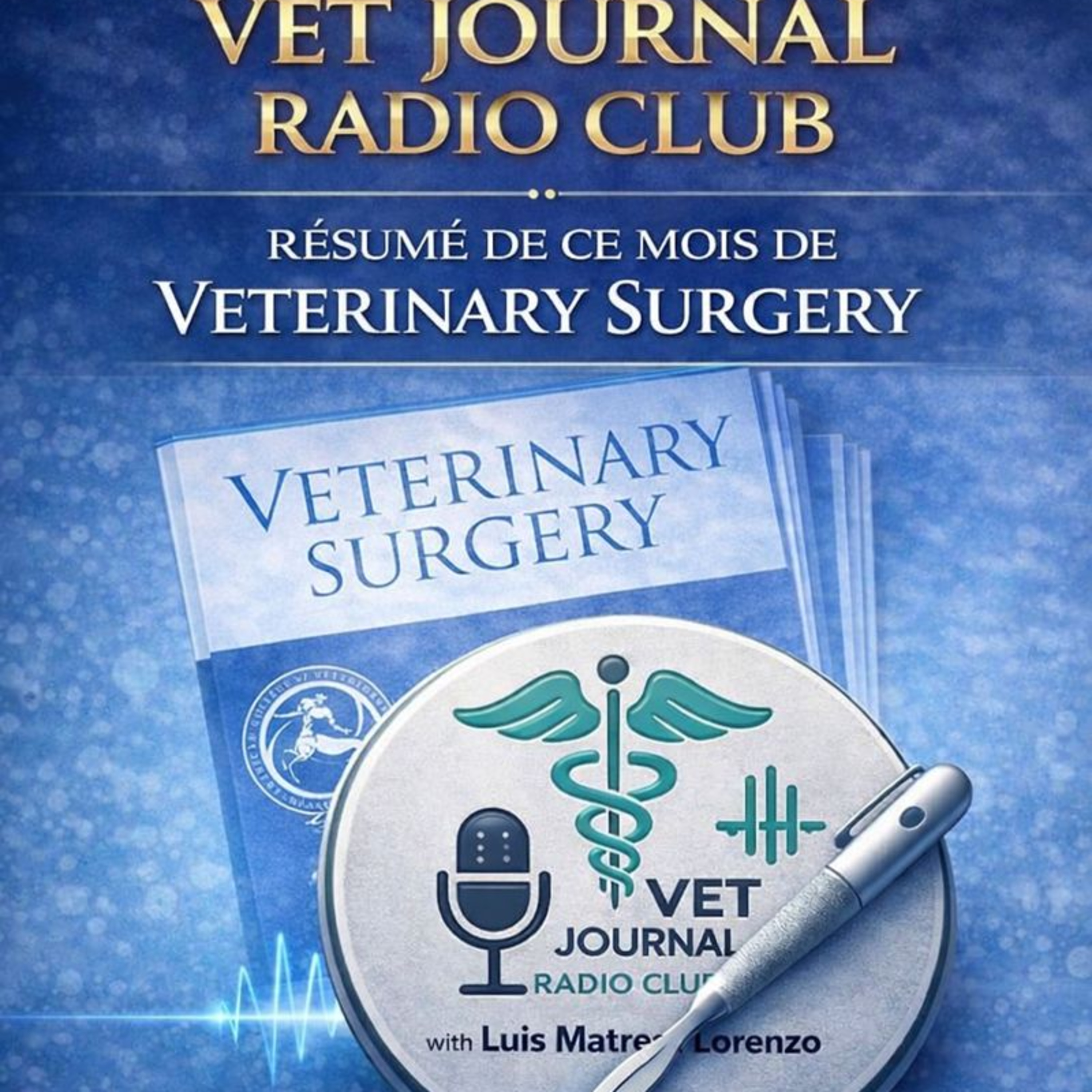 3# 01/25 Veterinary surgery Janvier ortho, hanche episode artwork