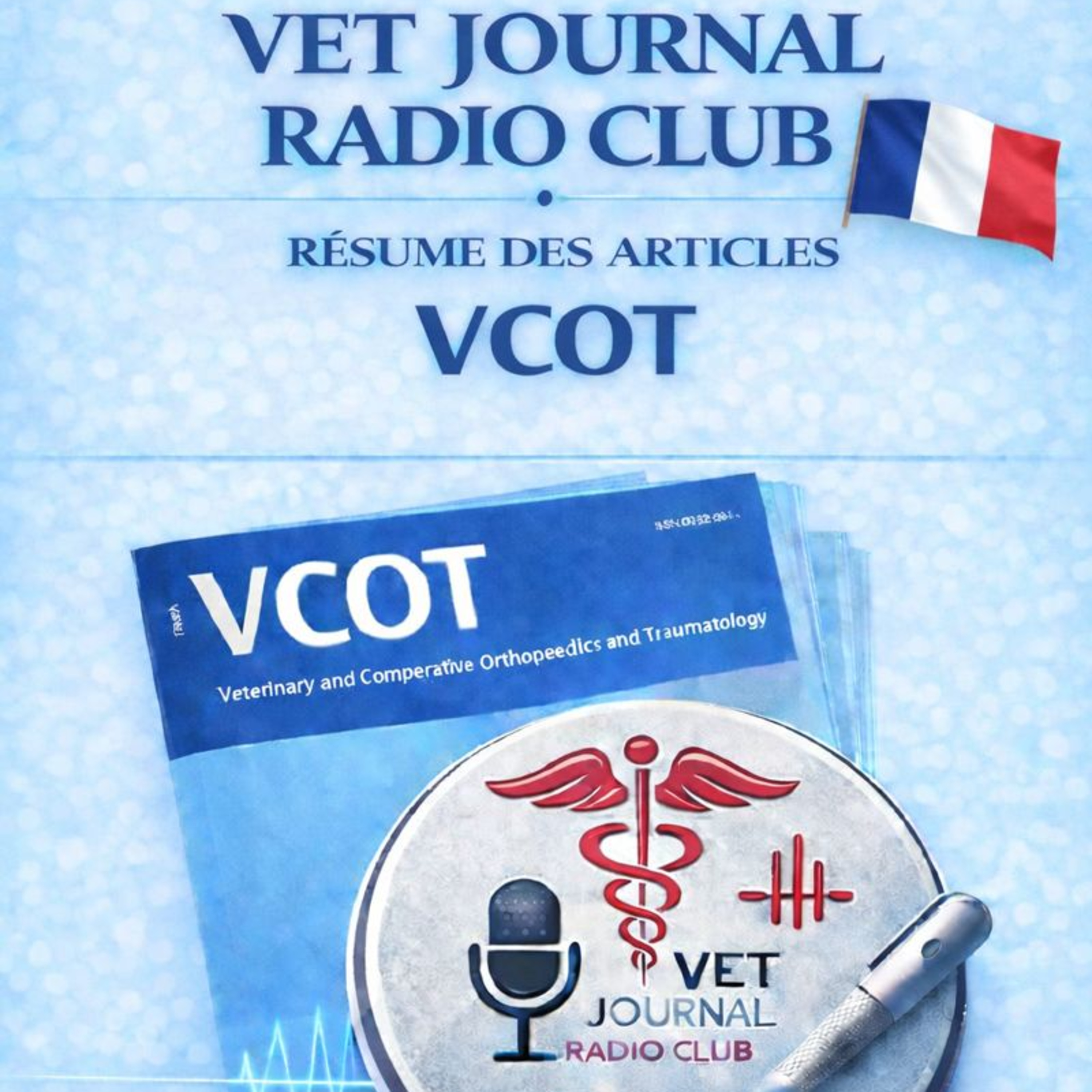 12 # 03/25 VCOT - Biomécanique des implants et prothèses canins episode artwork