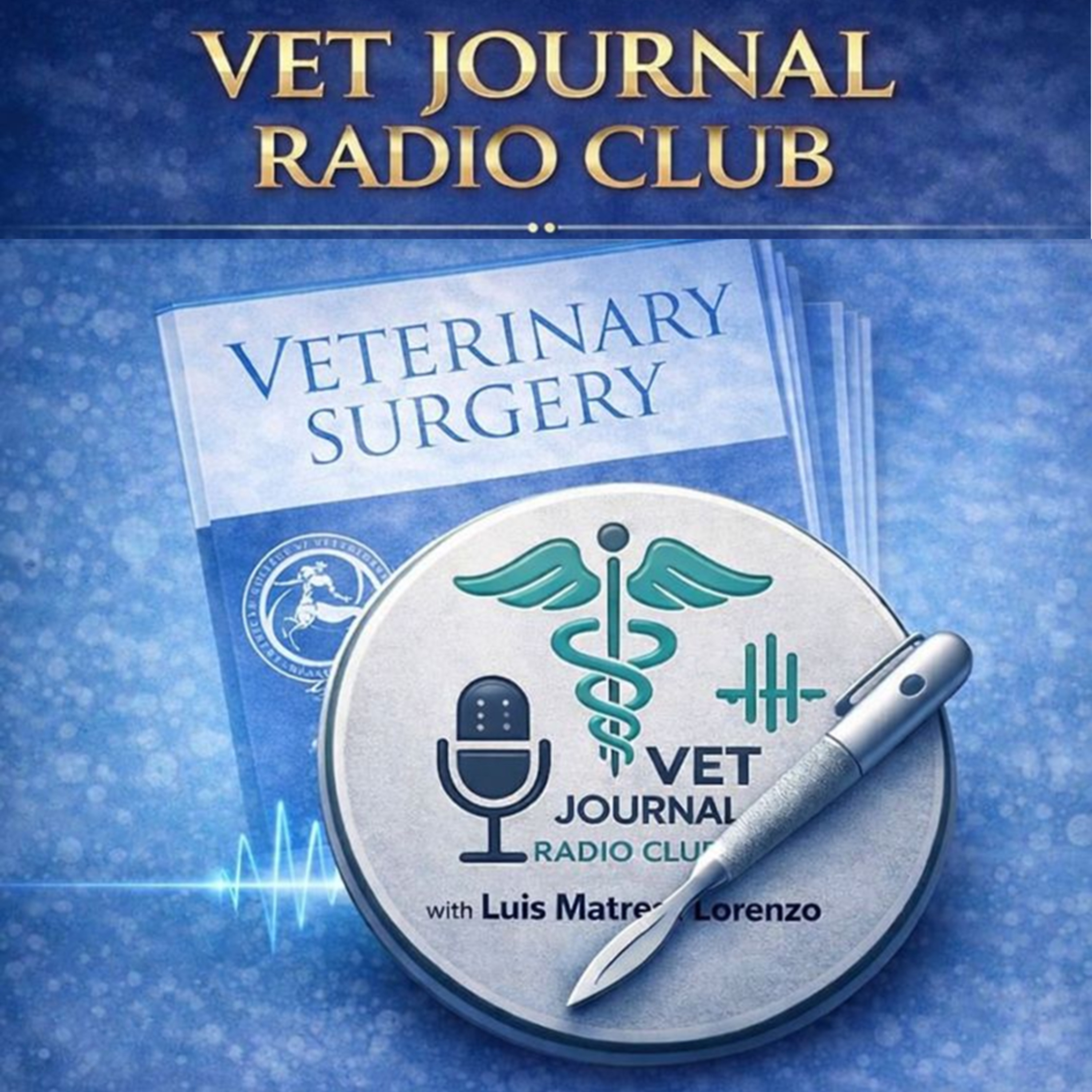 22 # 05/25 Vetsurg Prédiction par intelligence artificielle après hémilaminectomie, techniques d’arthrocentèse de l’épaule, arthroscopie des THR infectées et BoneWelding pour ténodèse du biceps episode artwork
