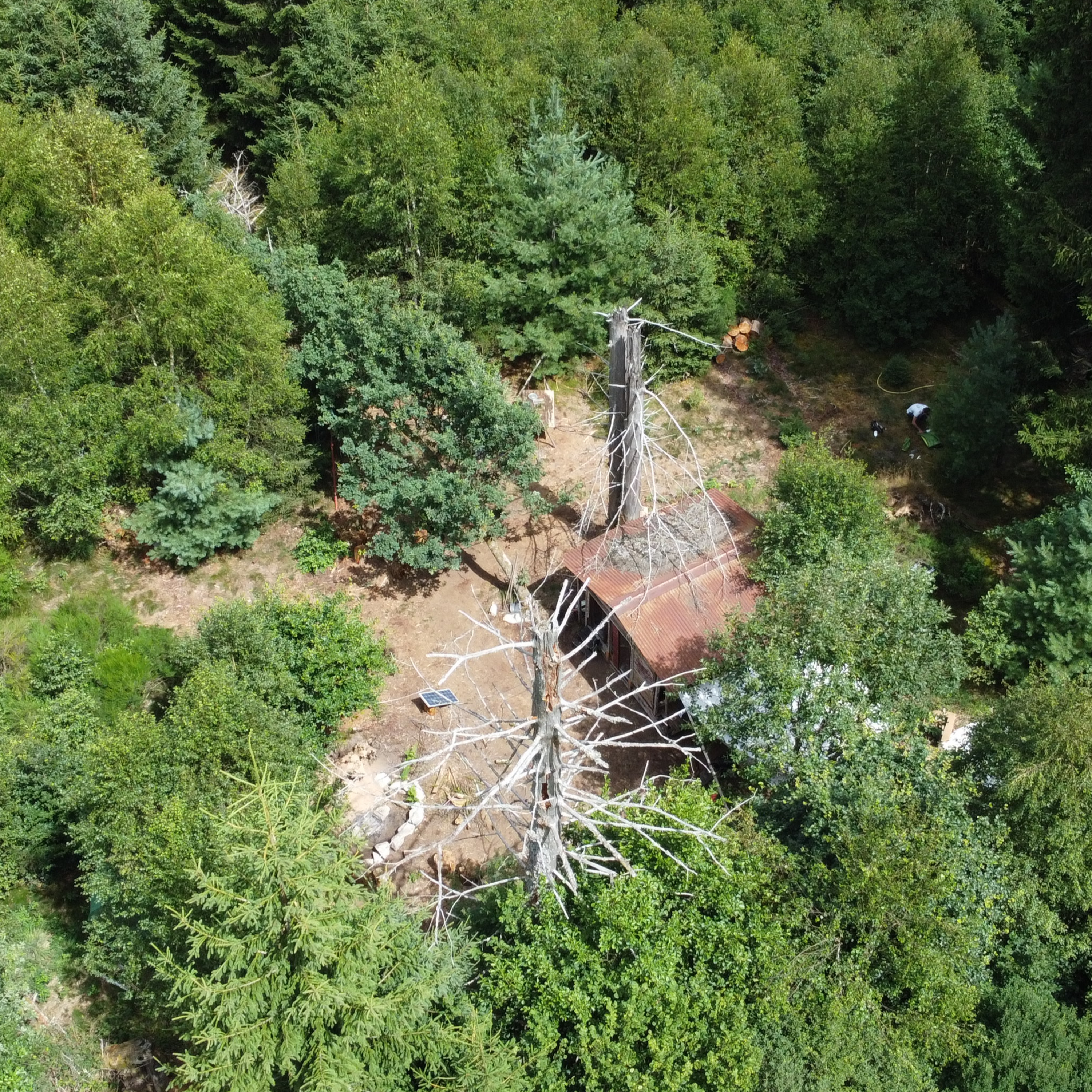 Terre Émerveille