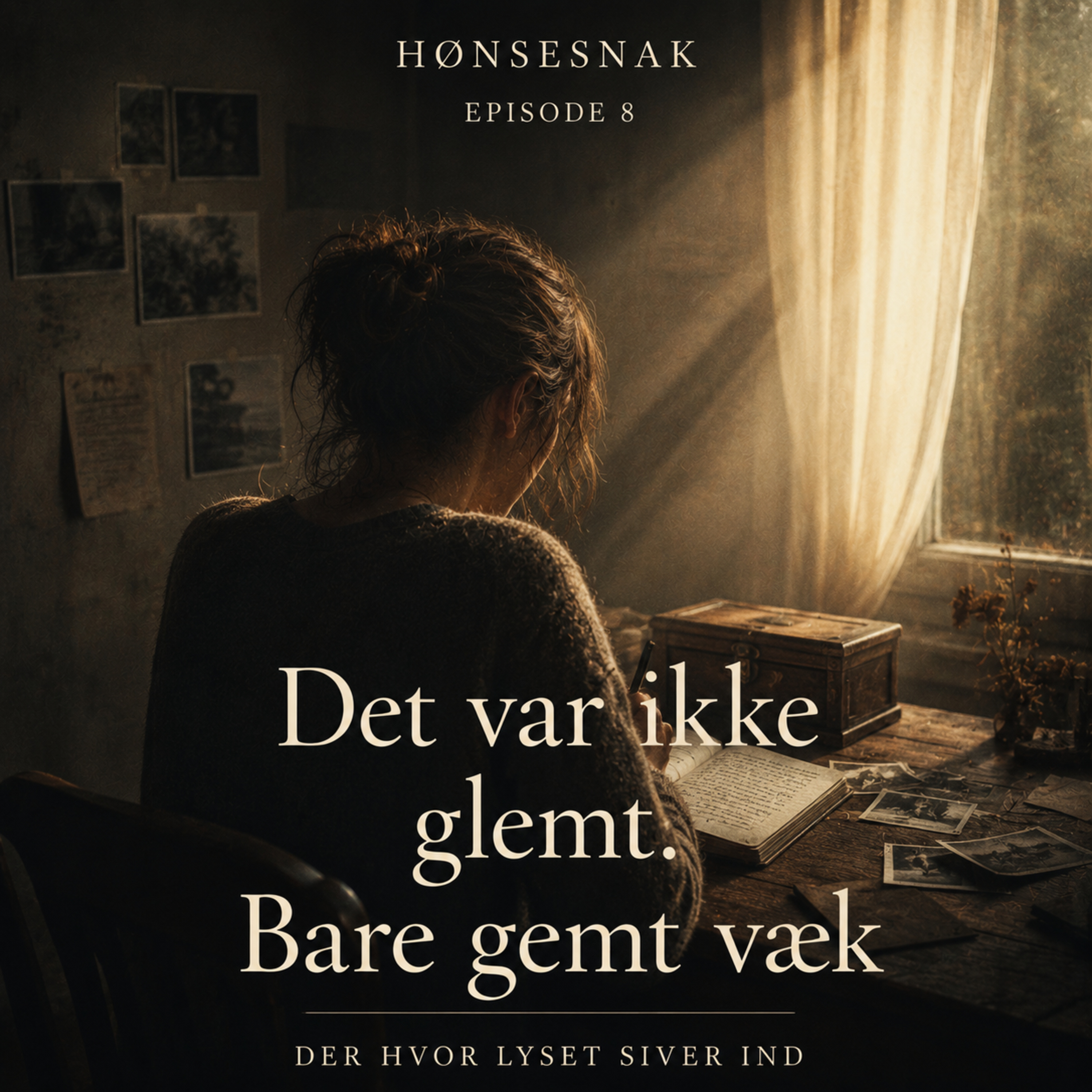 "Det var ikke glemt. Bare gemt væk" [Episode 8: Der hvor lyset siver ind] episode artwork