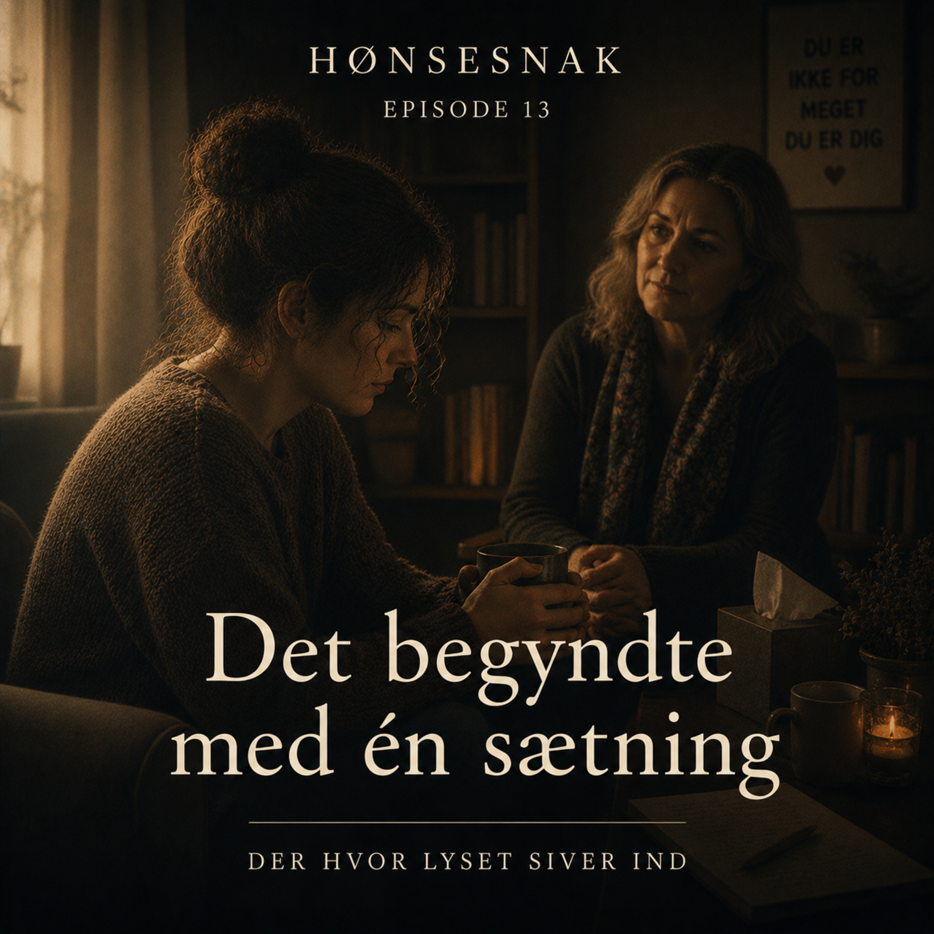"Det begyndte med én sætning" [Episode 13: Der hvor lyset siver ind]