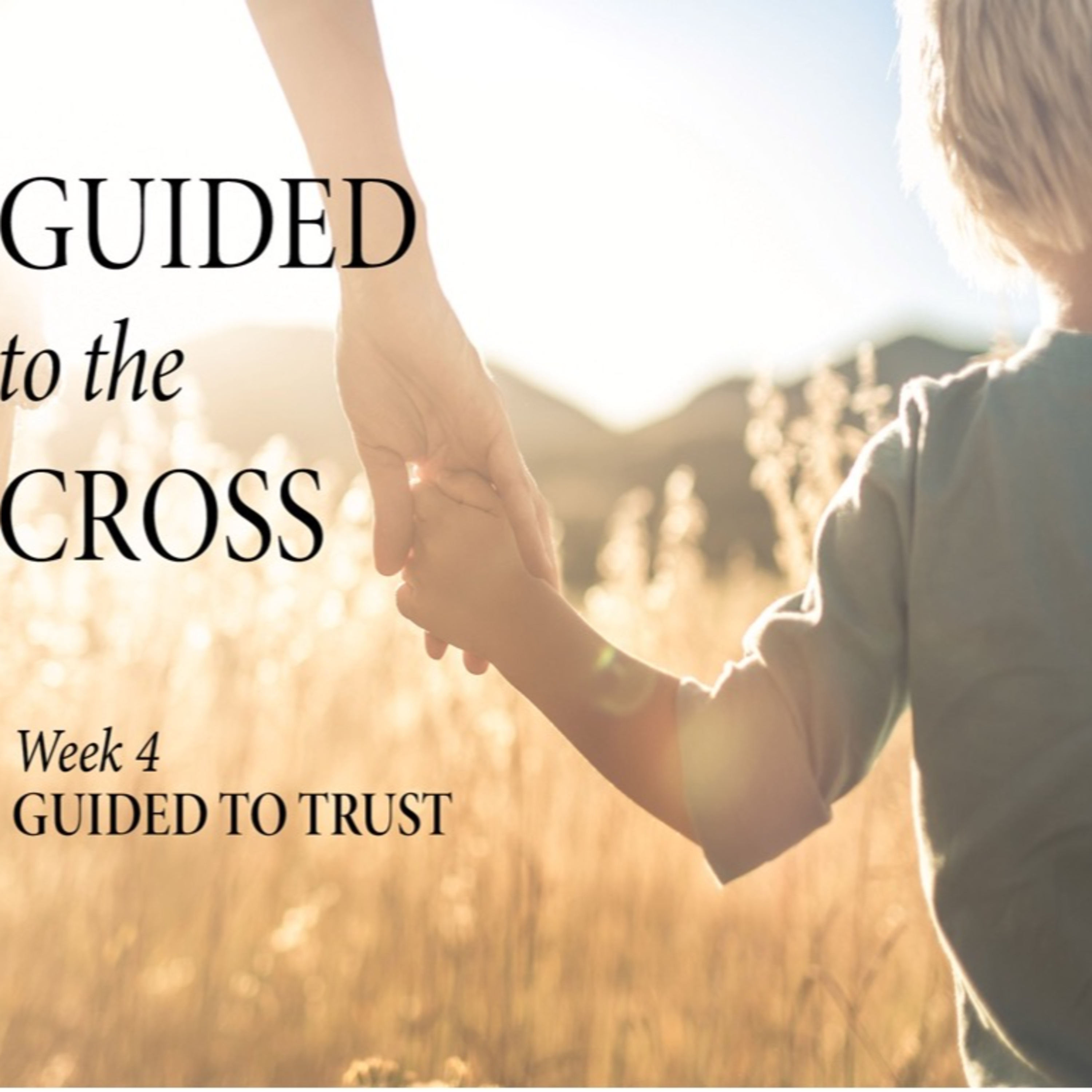 Guided to Trust (Guided to the Cross, part 5)