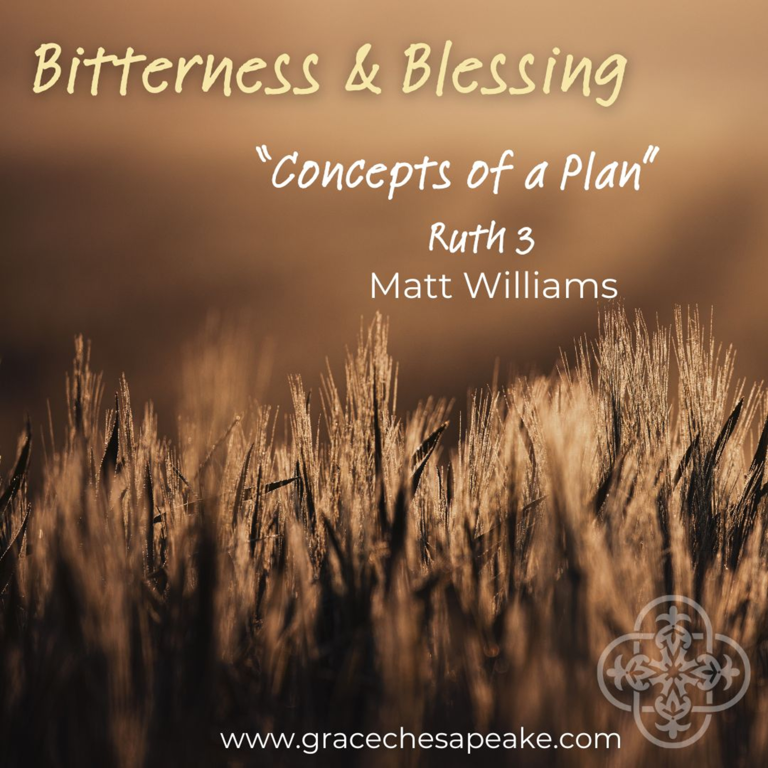 Bitterness and Blessing - 3. Concepts of a Plan episode artwork