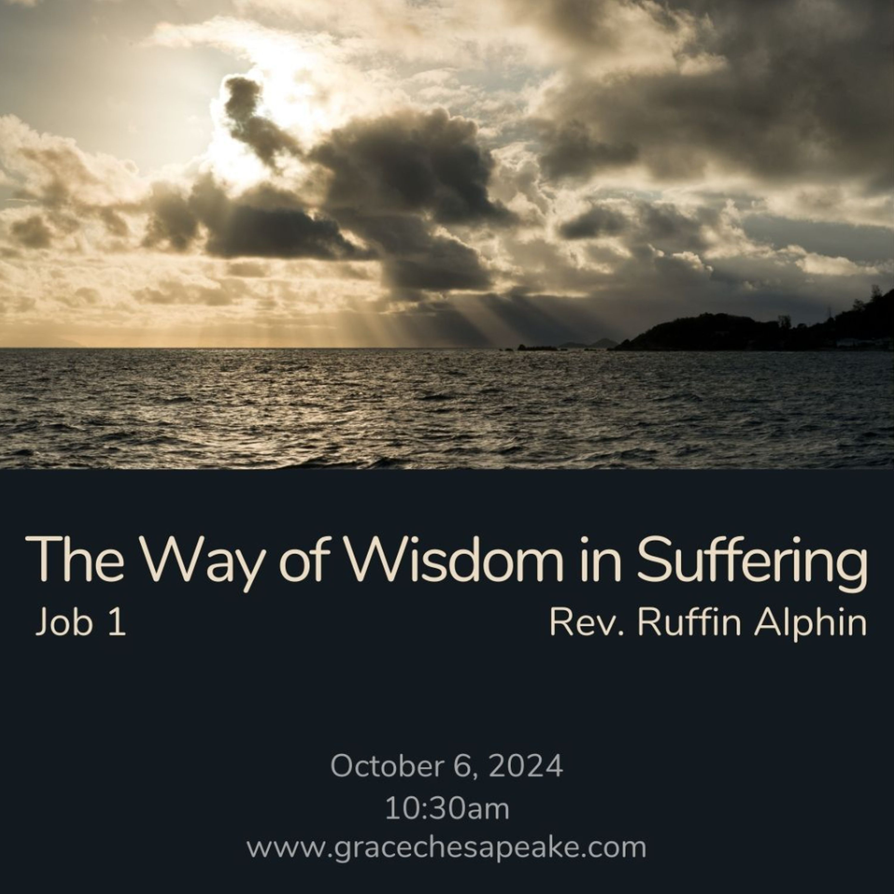 Wisdom in Job - 1. The Way of Wisdom in Suffering episode artwork