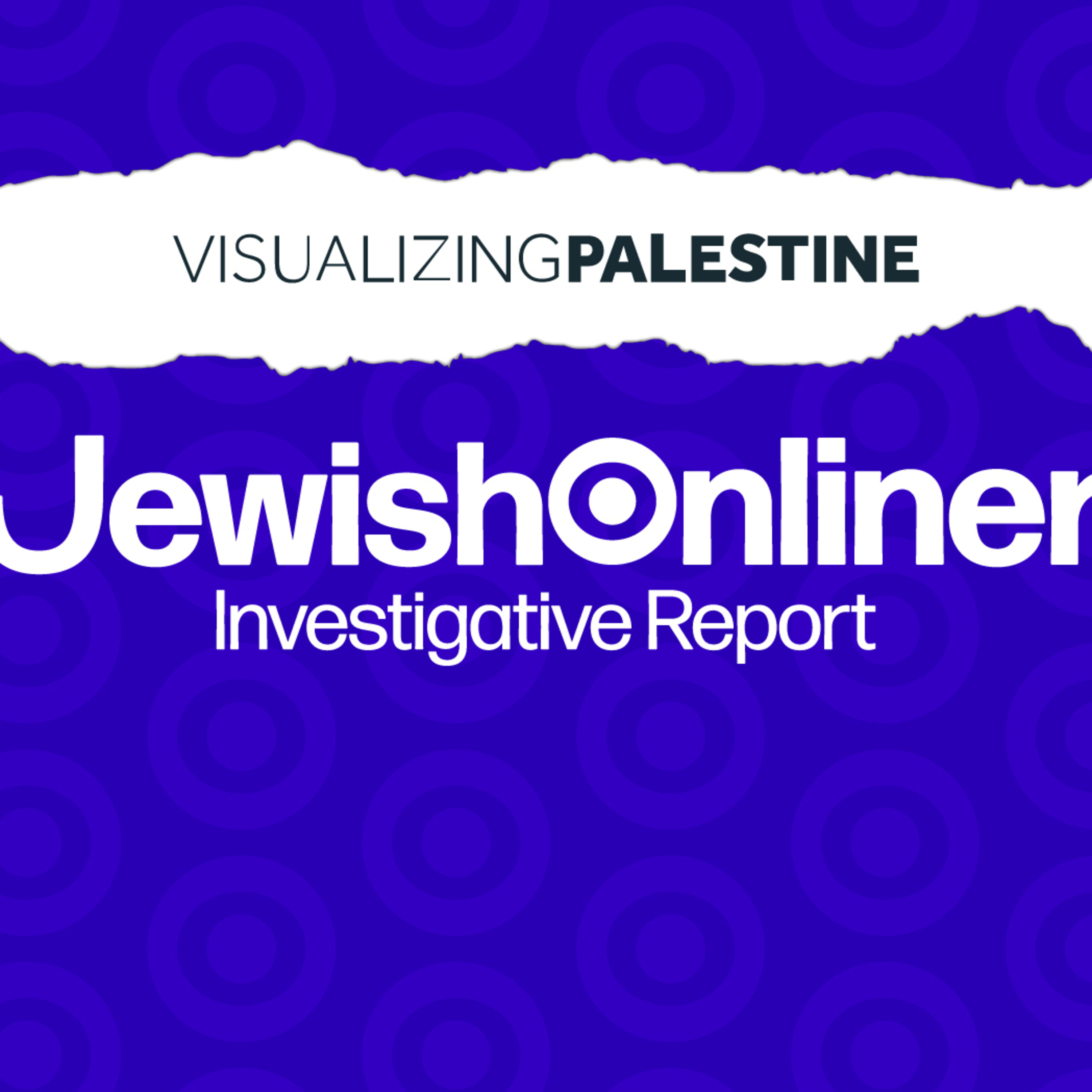 "Visualizing Palestine" Exposed episode artwork