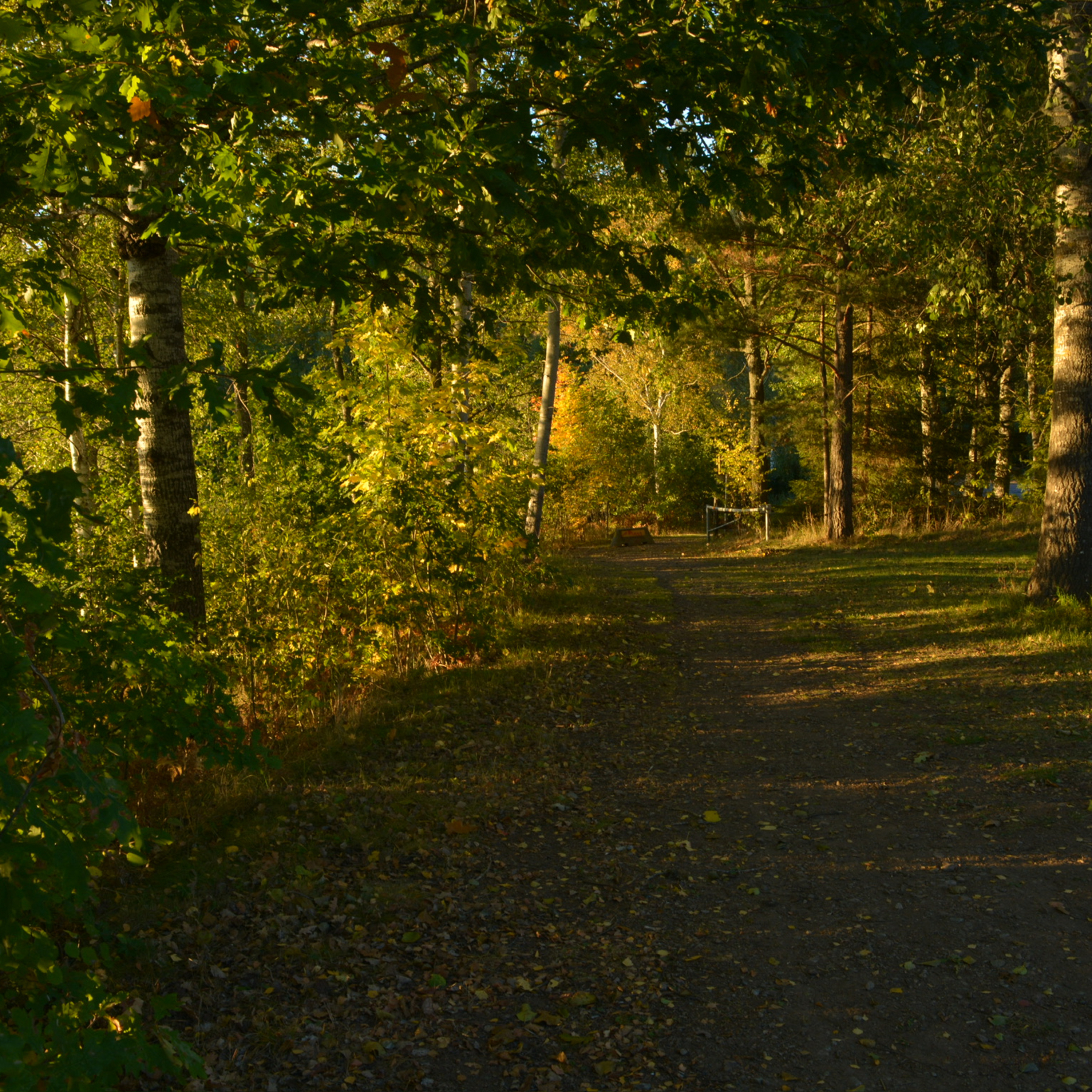 #38 „Eines Morgens riechst du den Herbst“ episode artwork