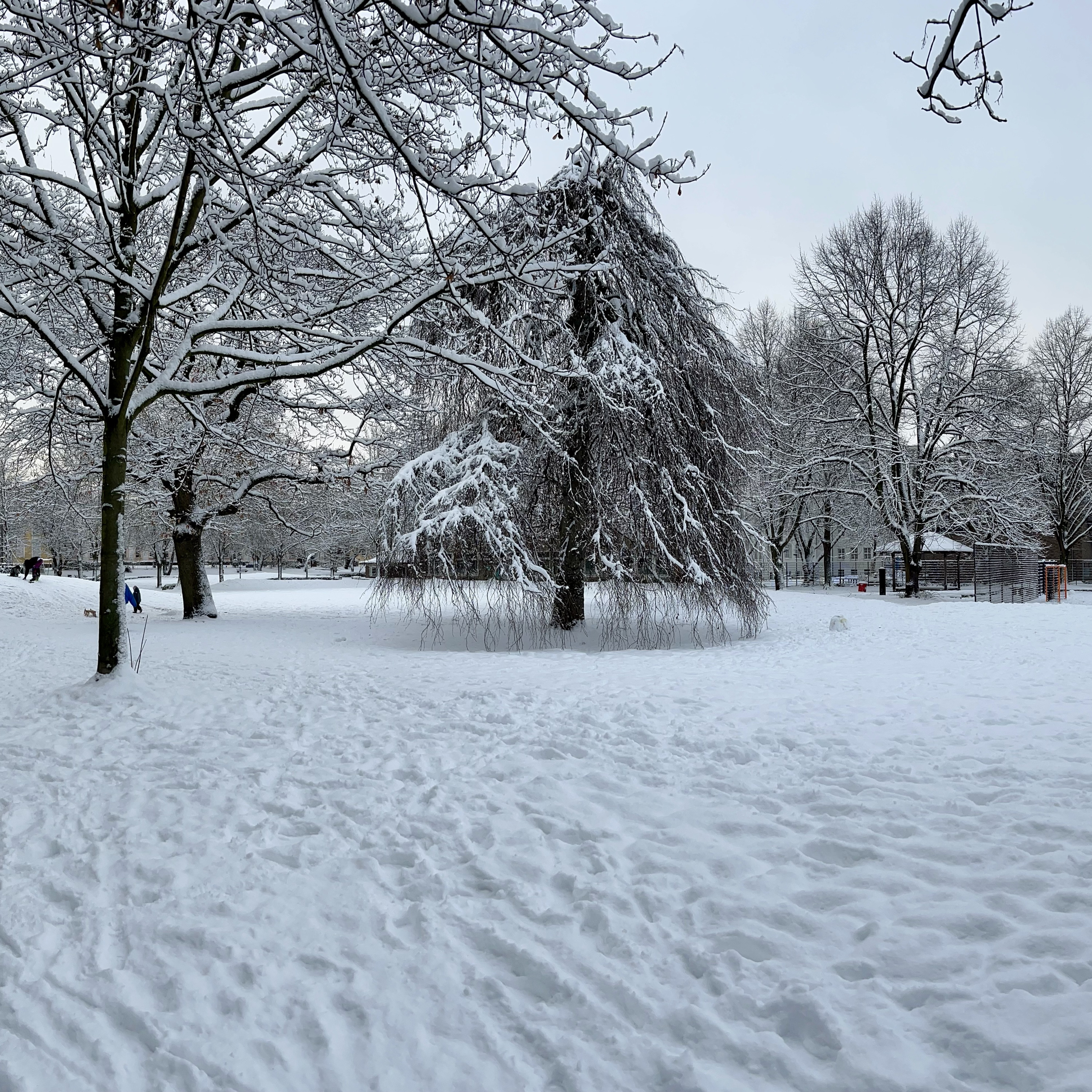 #55 Genug Licht für diesen Winter episode artwork
