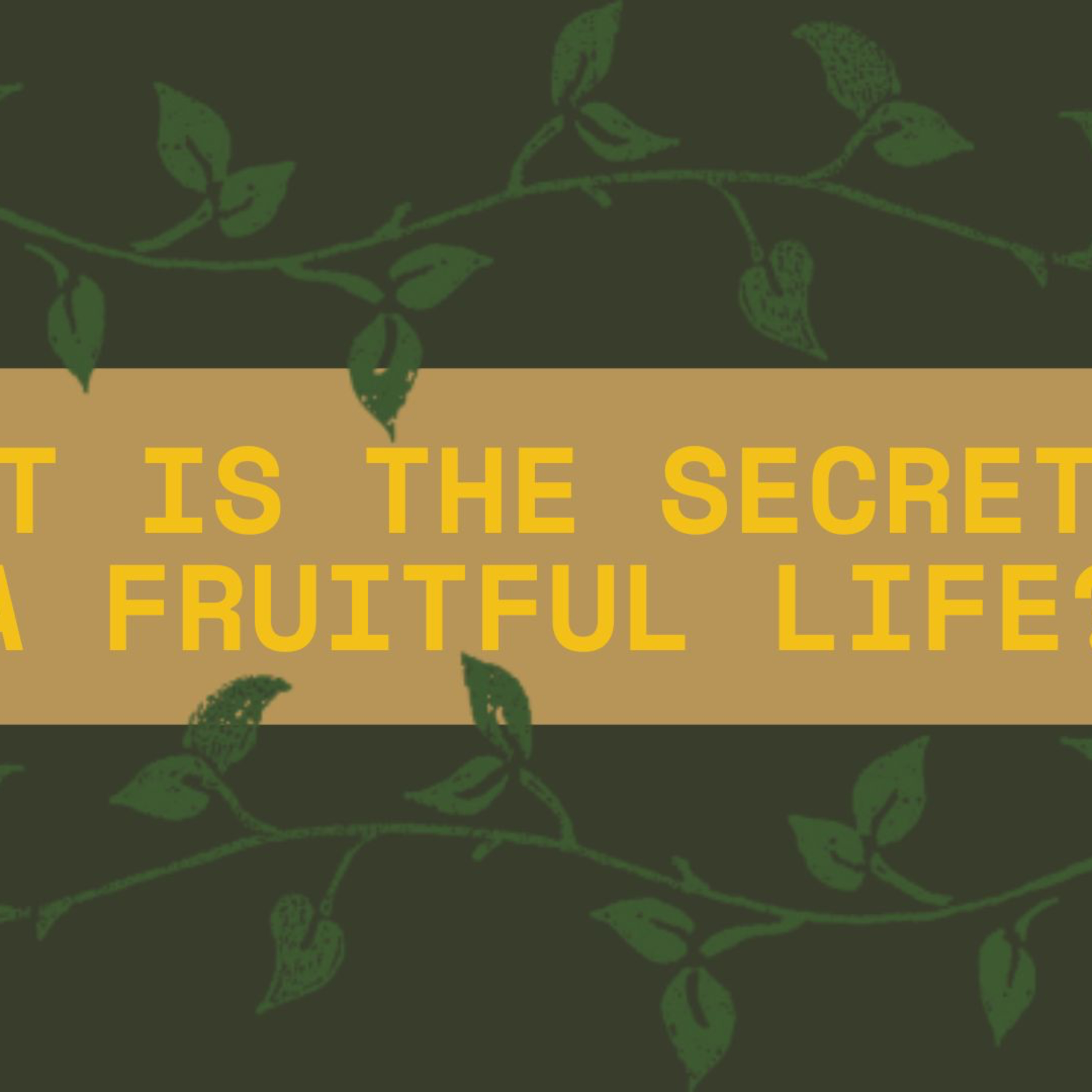 What is the Secret to A Fruitful Life? episode artwork