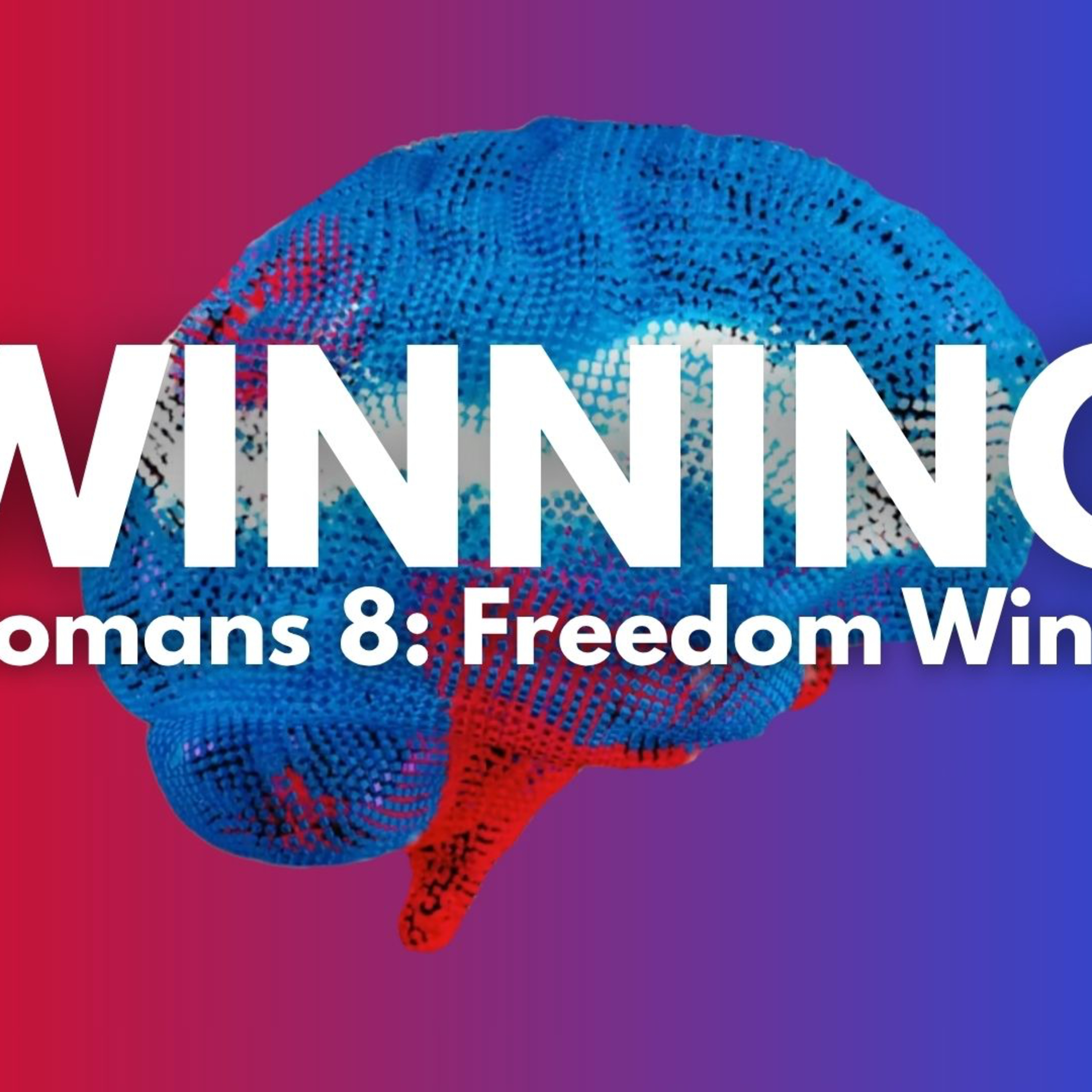 Winning | Part 4 | All Things episode artwork