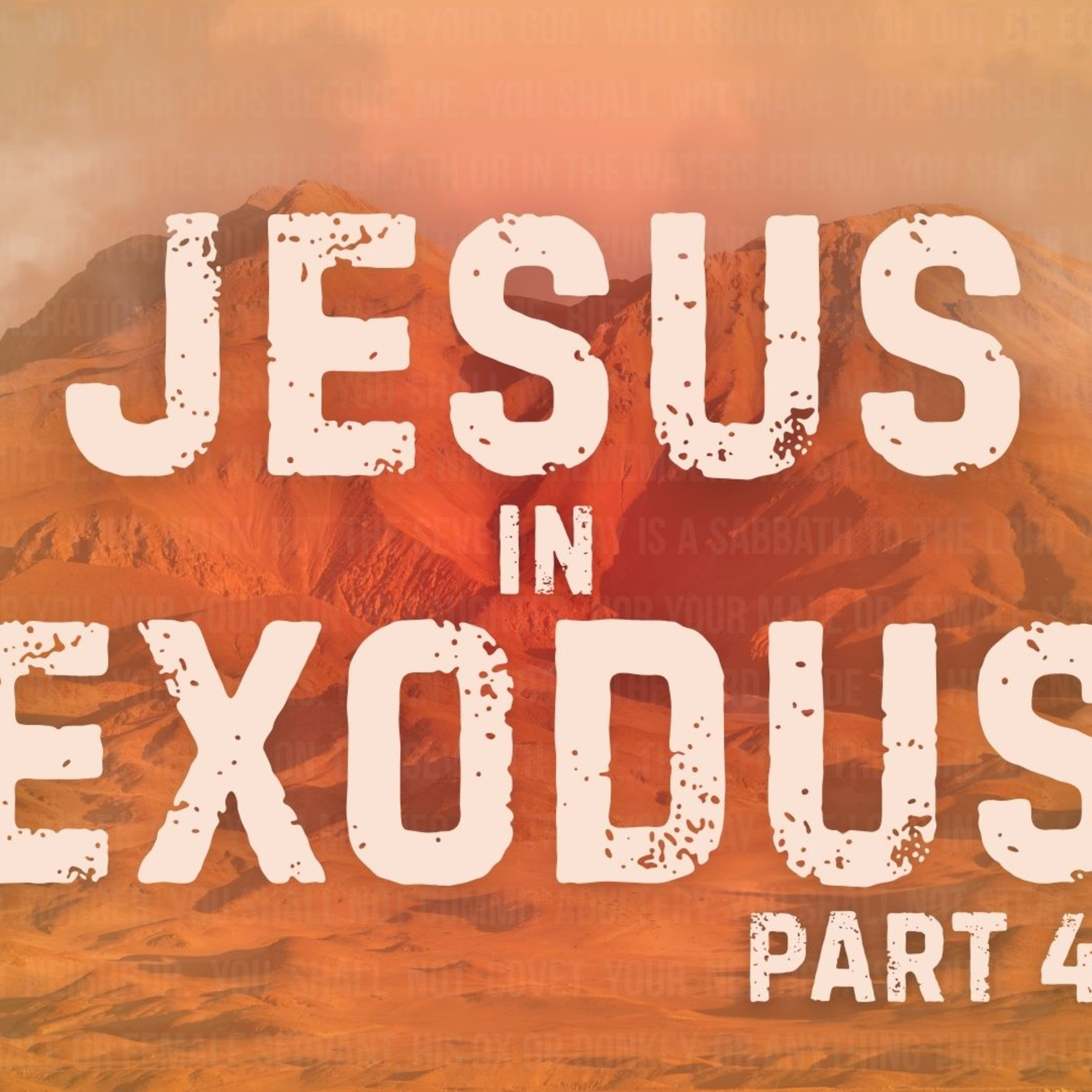 Jesus in Exodus | Part 4 | A New Thing episode artwork
