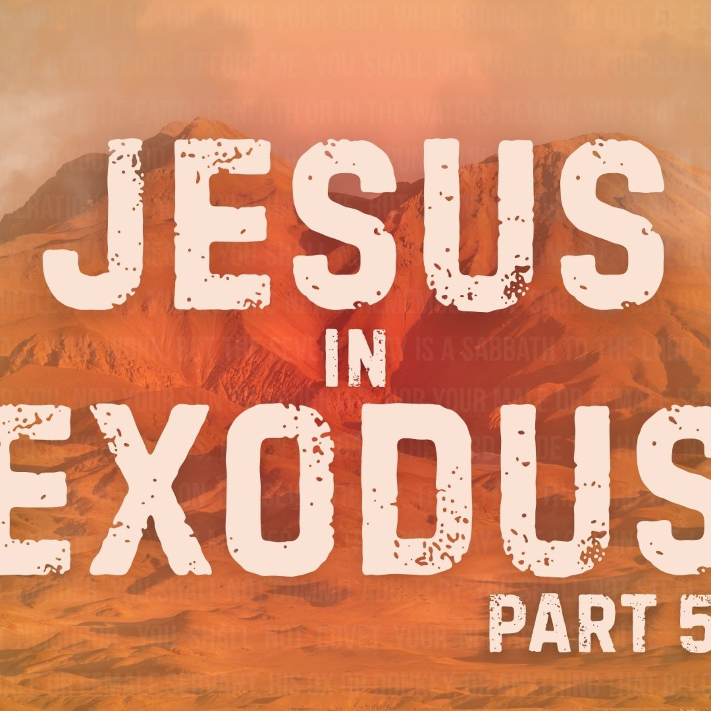 Jesus in Exodus | Part 5 | Compassion Sunday episode artwork