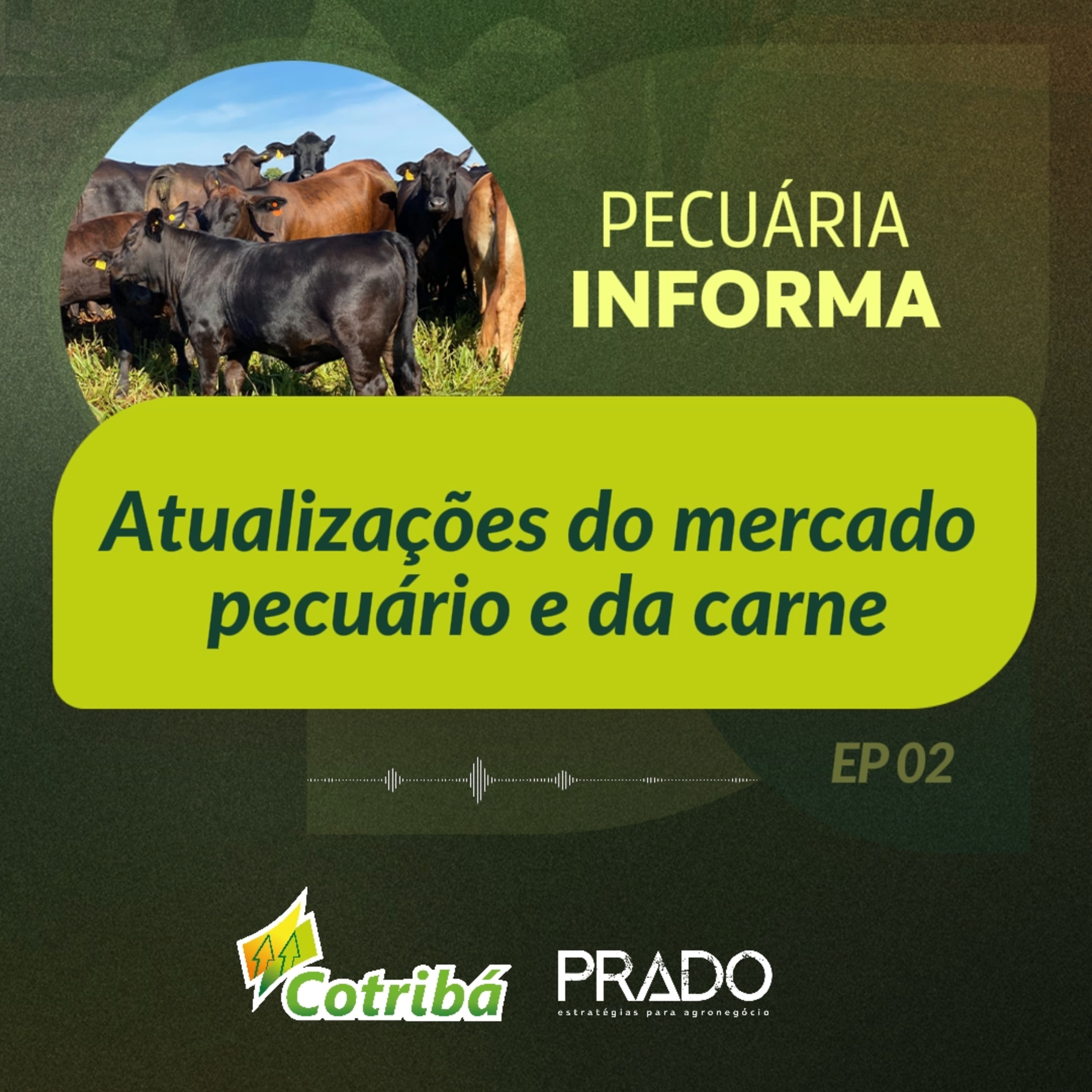 Pecuária Informa Cotribá