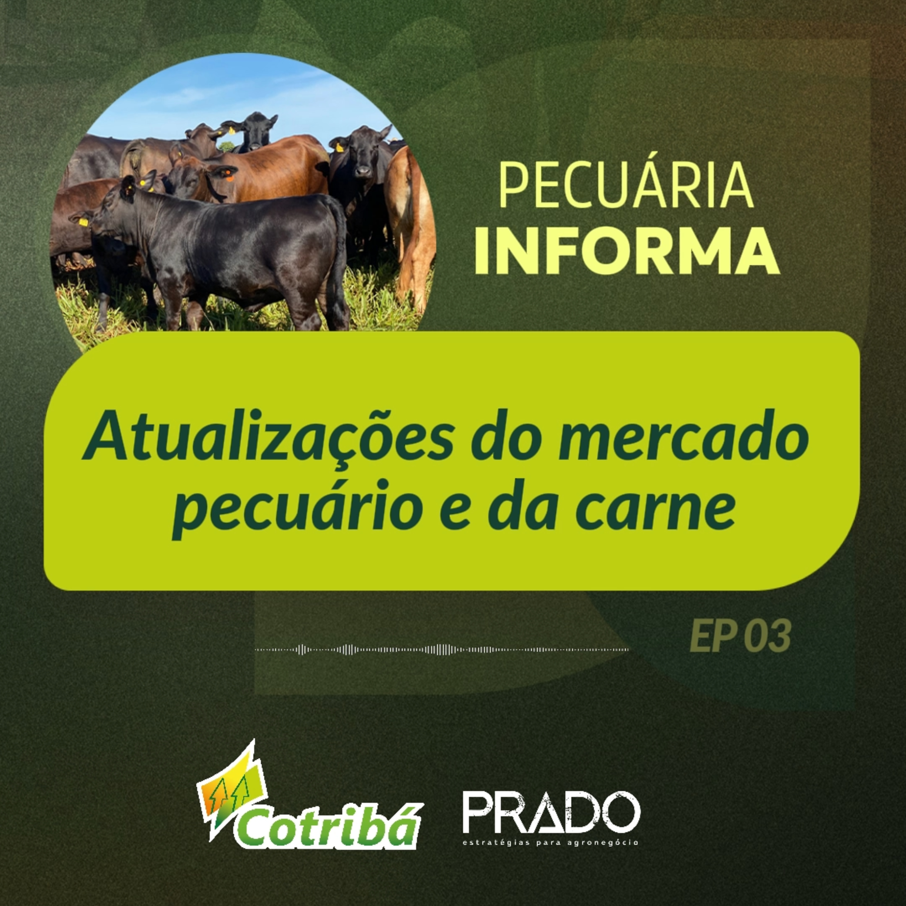 Pecuária Informa Cotribá
