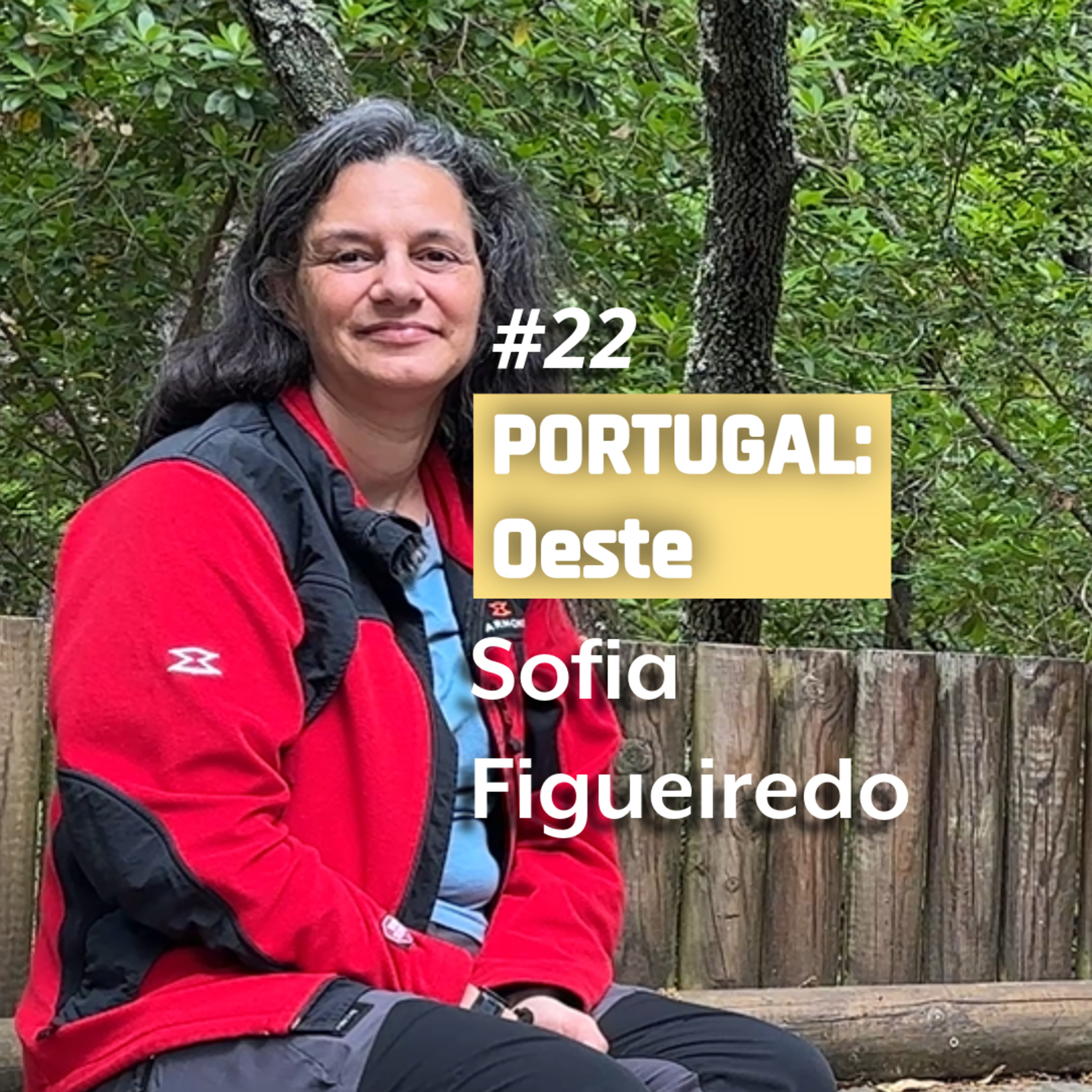 Viagens a Pedal