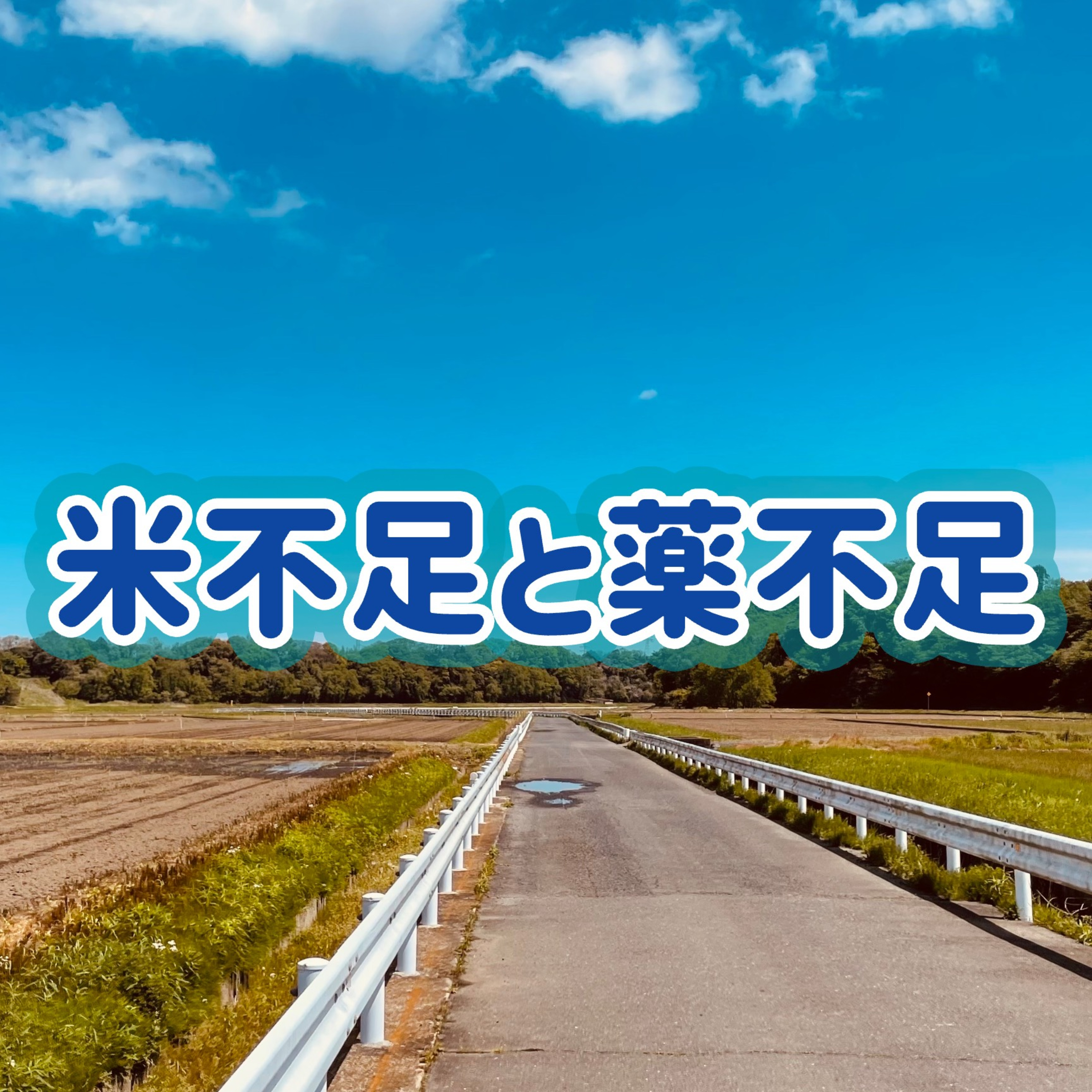 「ゲスト：ぜっきー」④米不足と薬不足 ＃28 episode artwork