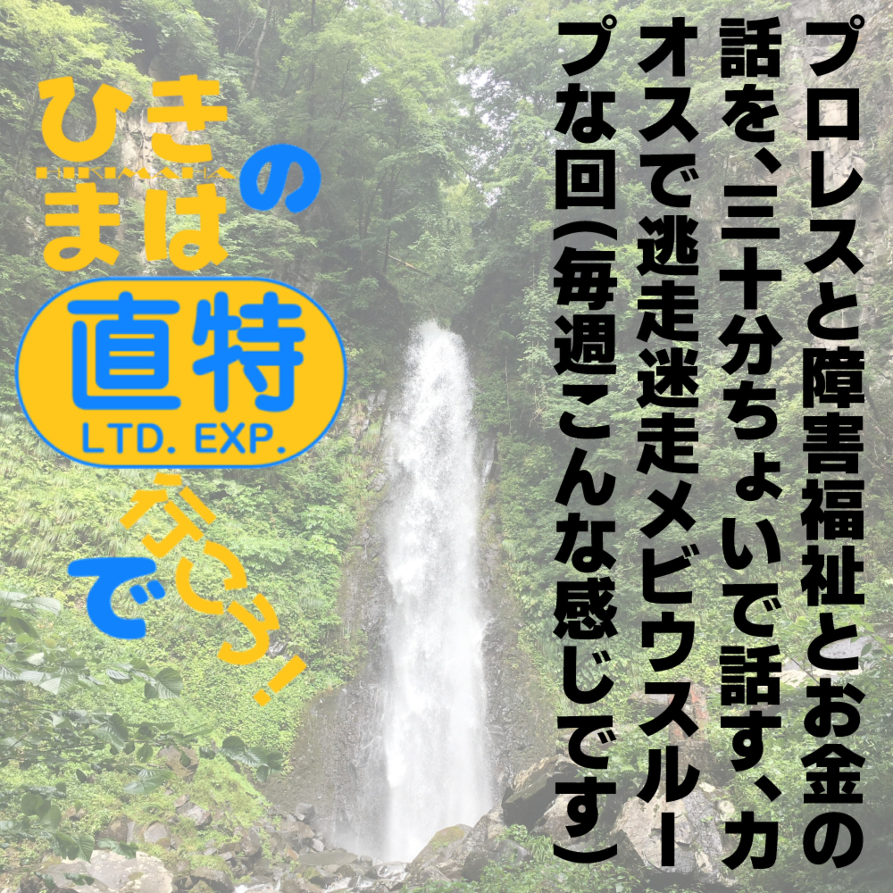 プロレスと障害福祉とお金の話を、三十分ちょいで話す、カオスで逃走迷走メビウスループな回(毎週こんな感じです) episode artwork