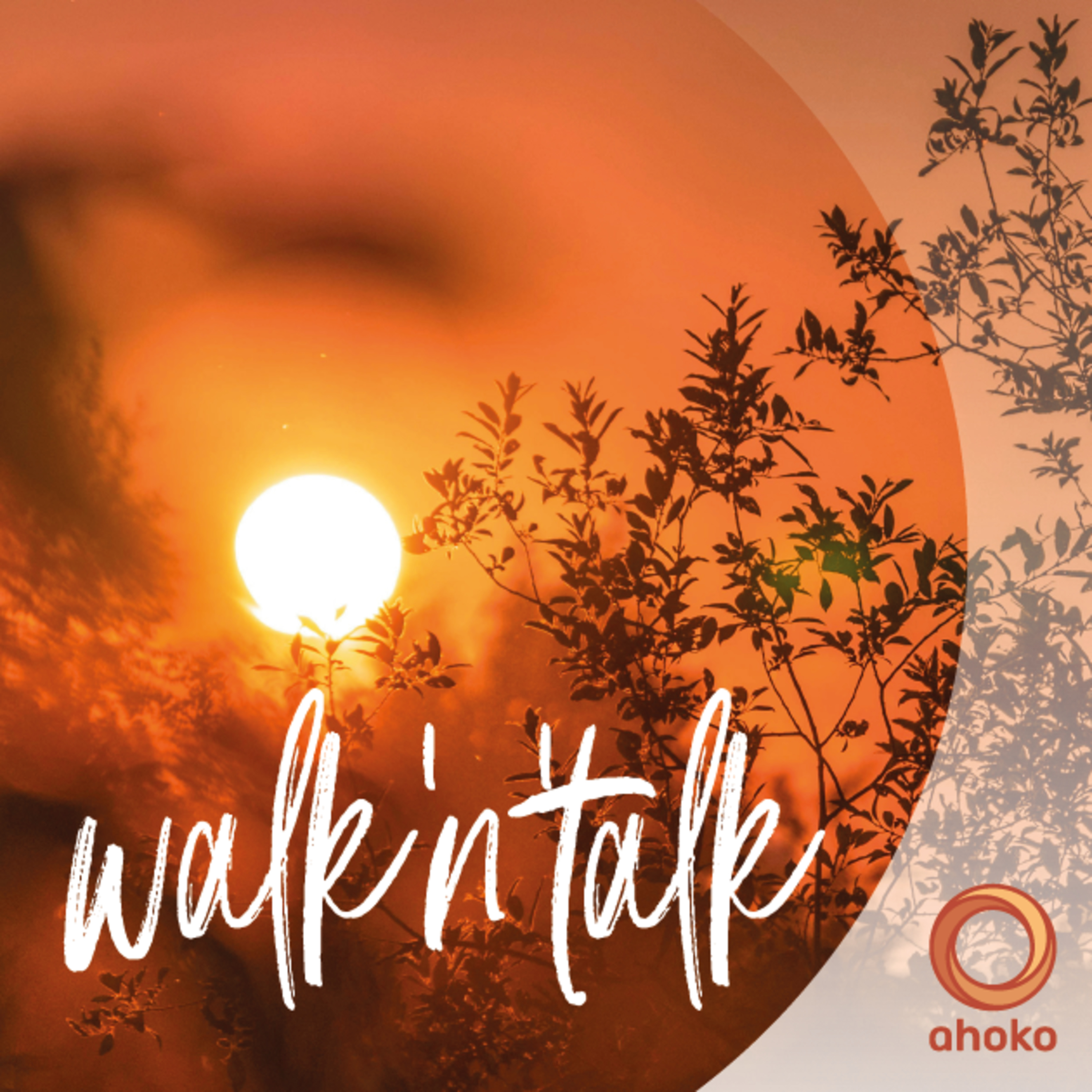 Walk and Talk