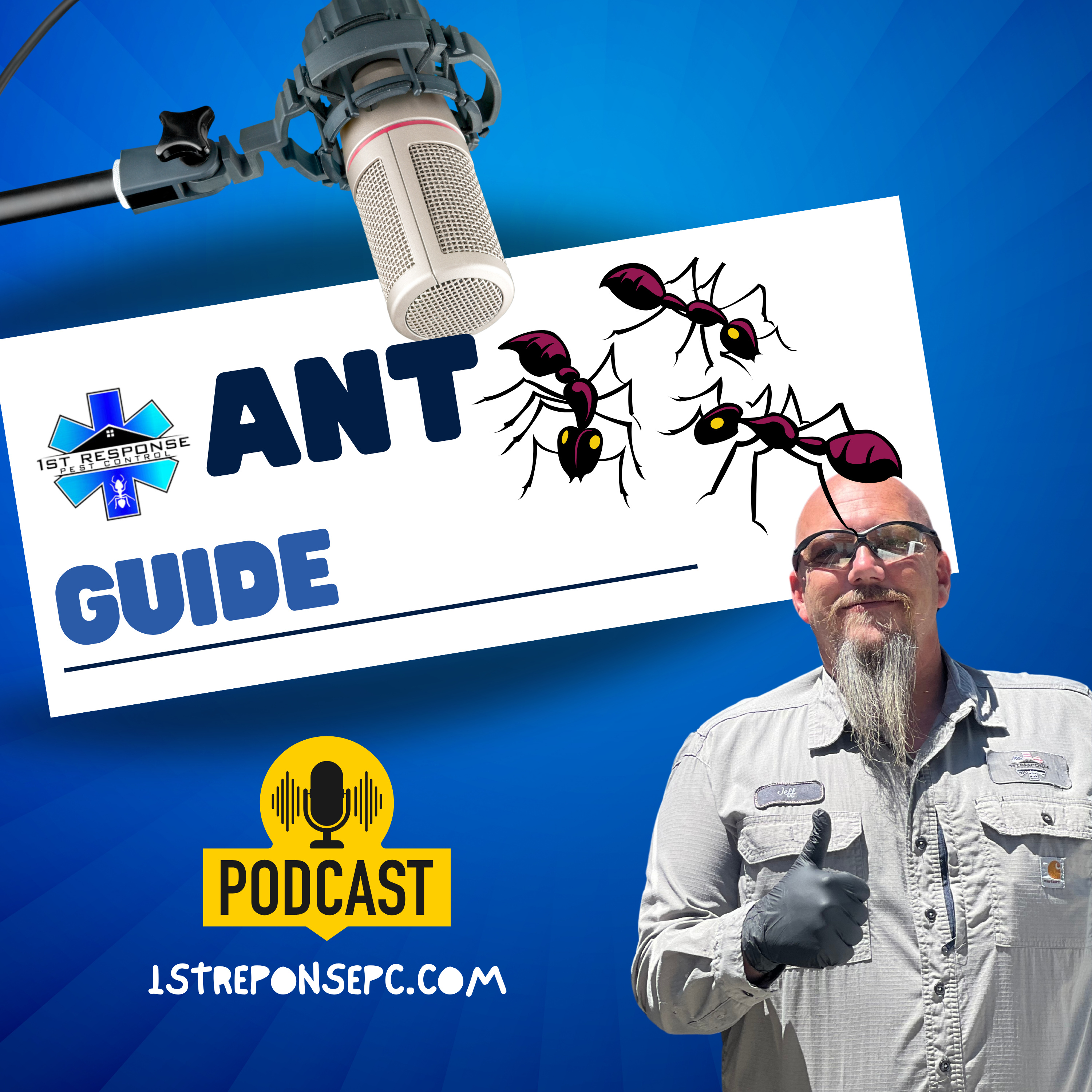 Ultimate Guide to Keeping Ants Out: EP4
