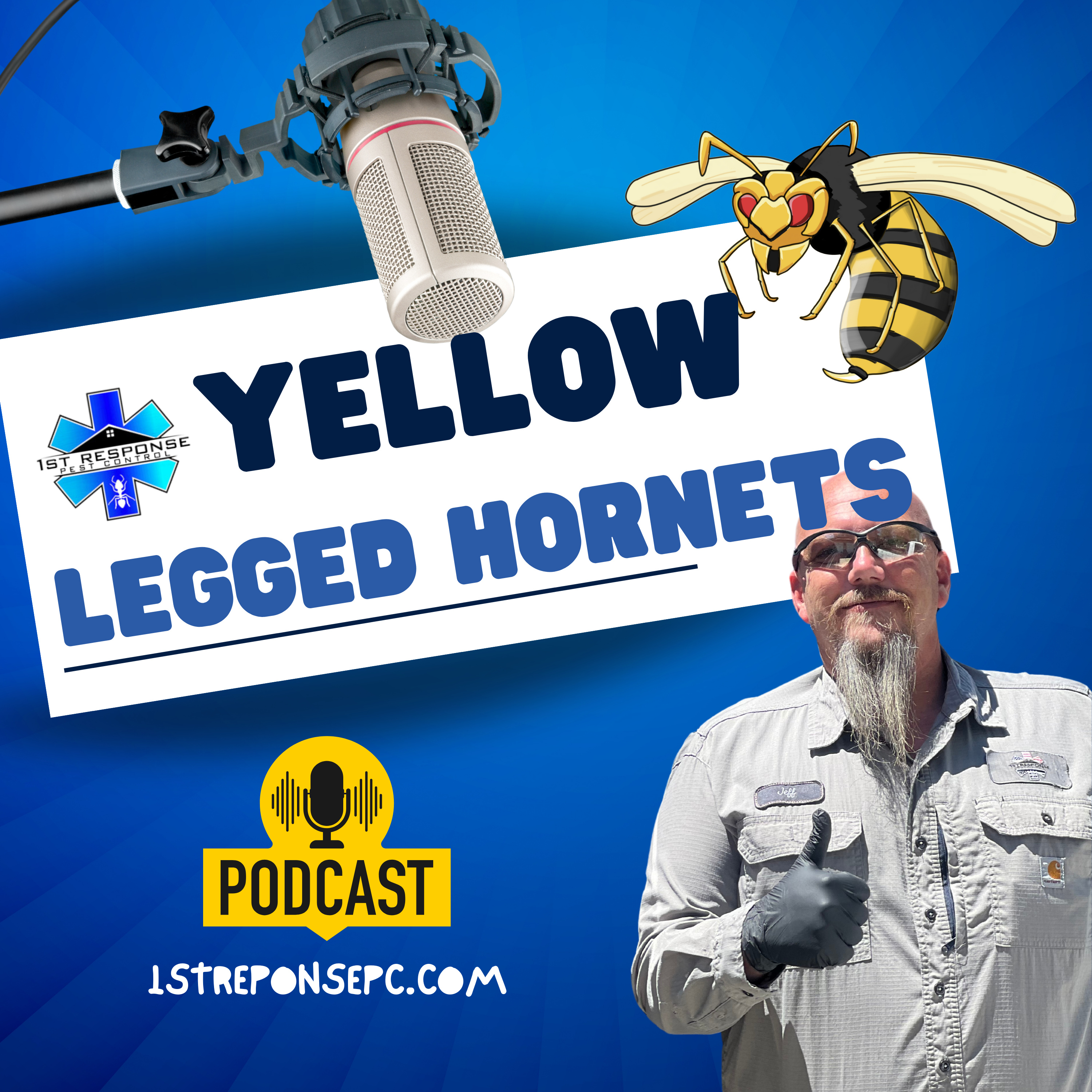 Protecting Bees: The Threat of Yellow Legged and Asian Hornets - EP2