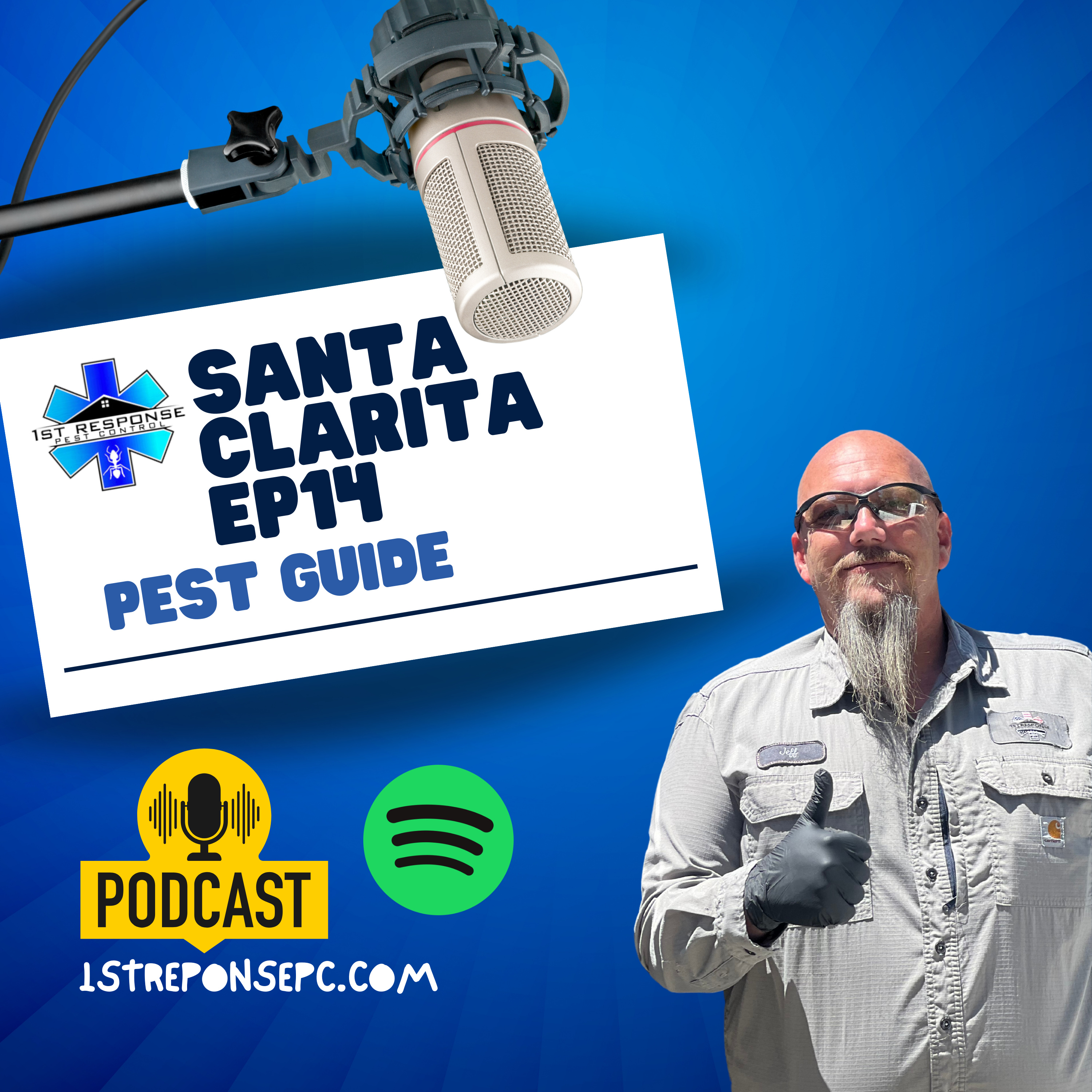 Navigating Santa Clarita's Pest Challenges: From Mosquitoes to Rodents and Beyond