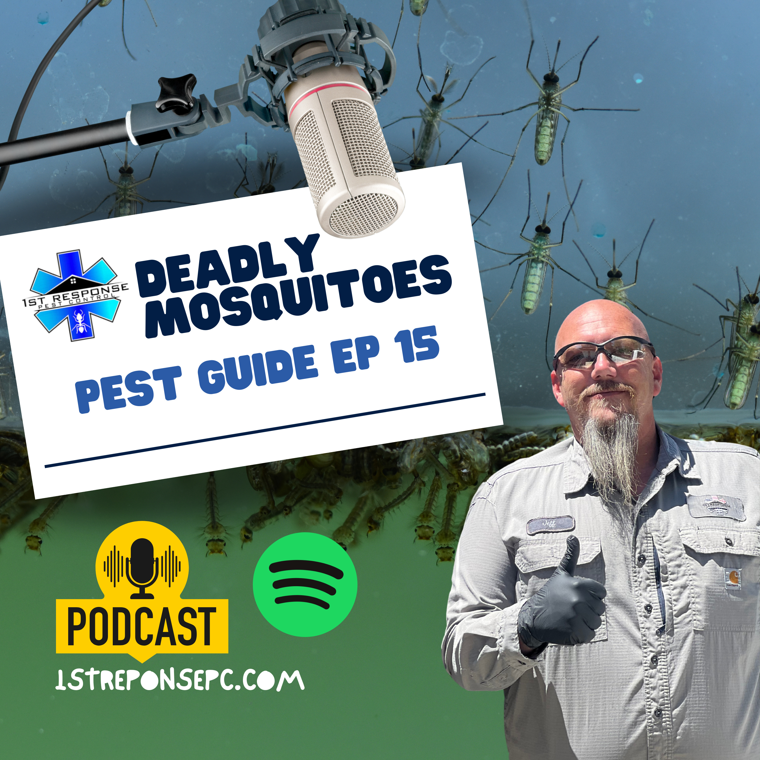Mosquito Buckets Explained: Innovative Solutions to Combat Mosquito Infestation