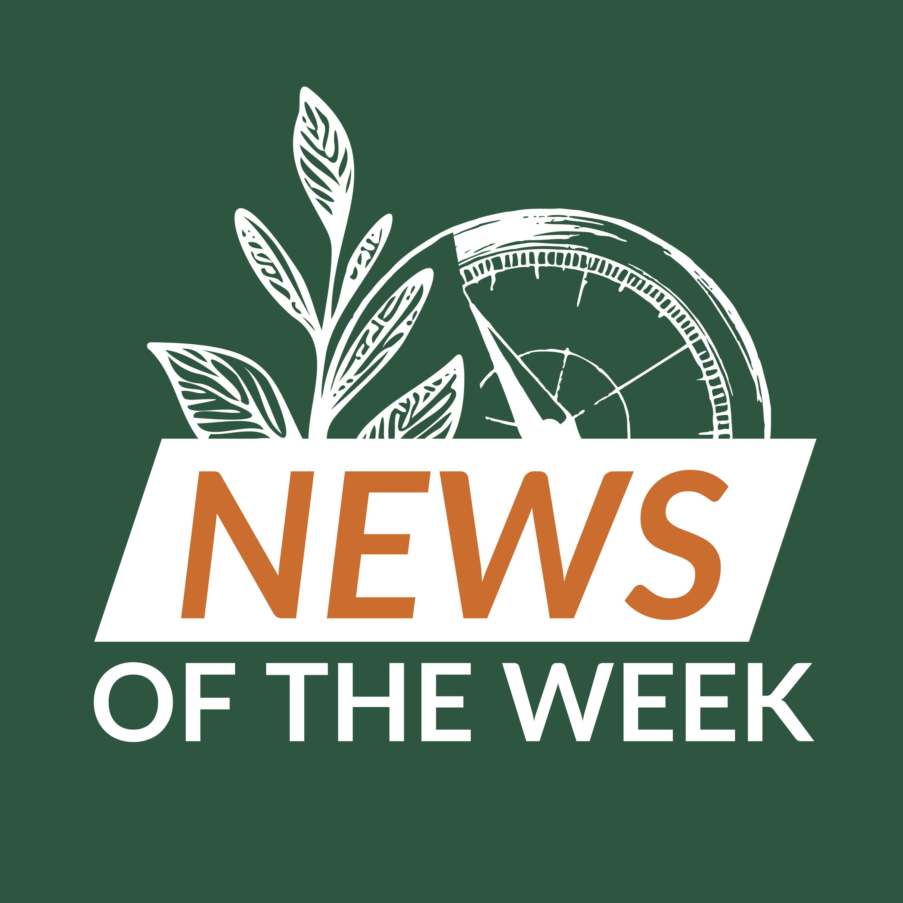 Ep 02 - News of the week episode artwork