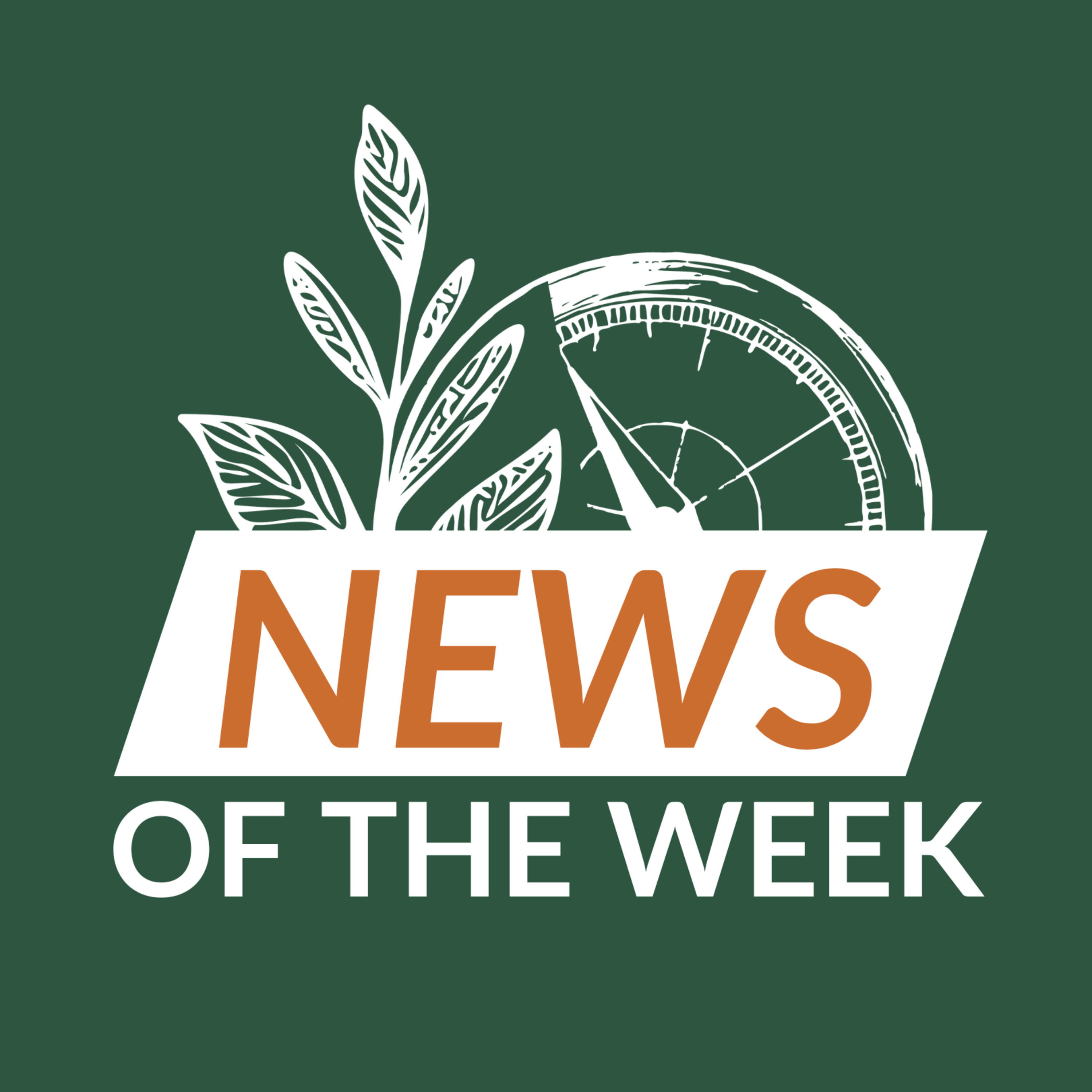 Ep 04 - News of the week episode artwork
