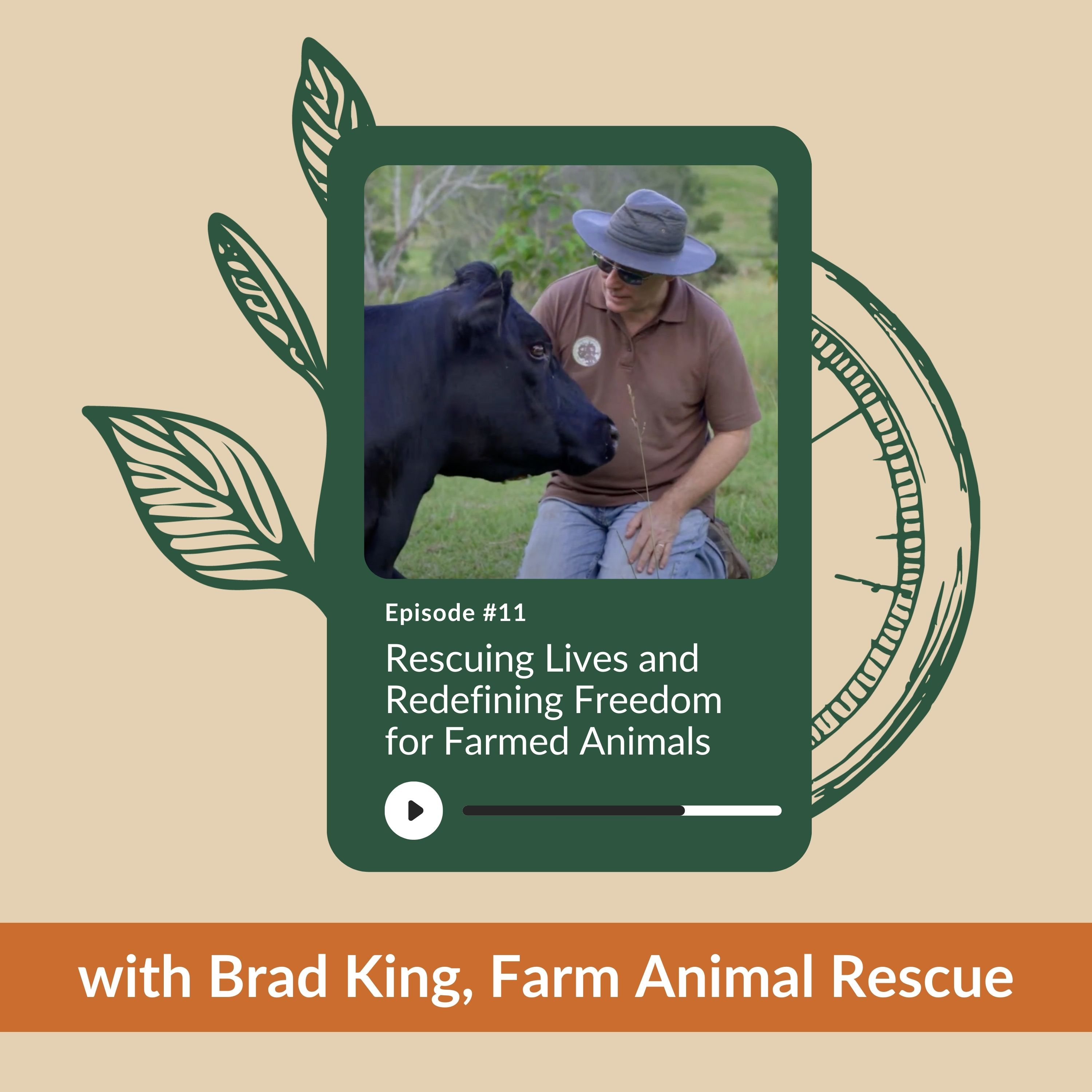 Ep 11 - Rescuing Lives and Redefining Freedom for Farmed Animals with Brad King, Farm Animal Rescue episode artwork