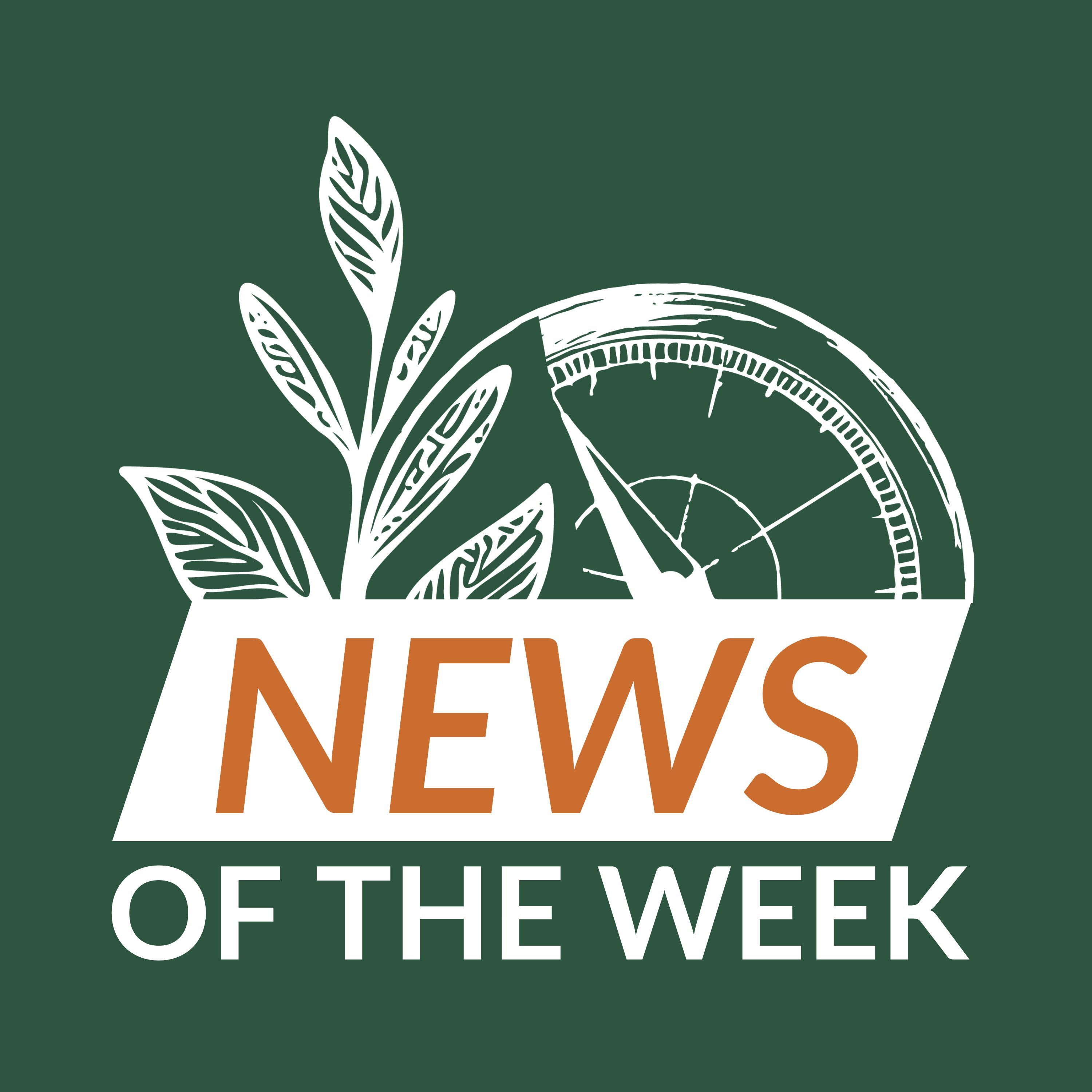 Ep 12 - News of the week episode artwork