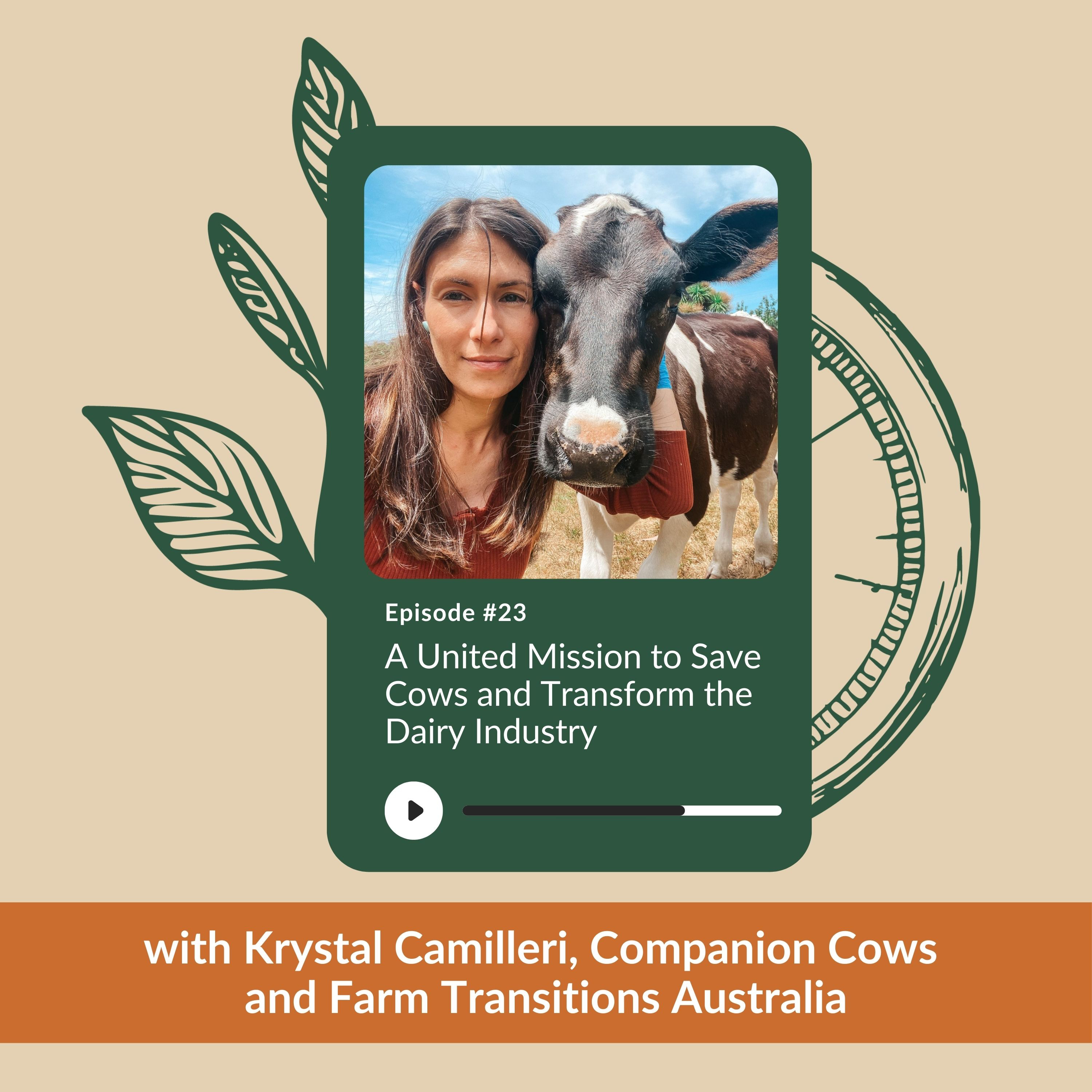 Ep 23 - A United Mission to Save Cows and Transform the Dairy Industry with Krystal Camilleri, Companion Cows and Farm Transitions Australia episode artwork