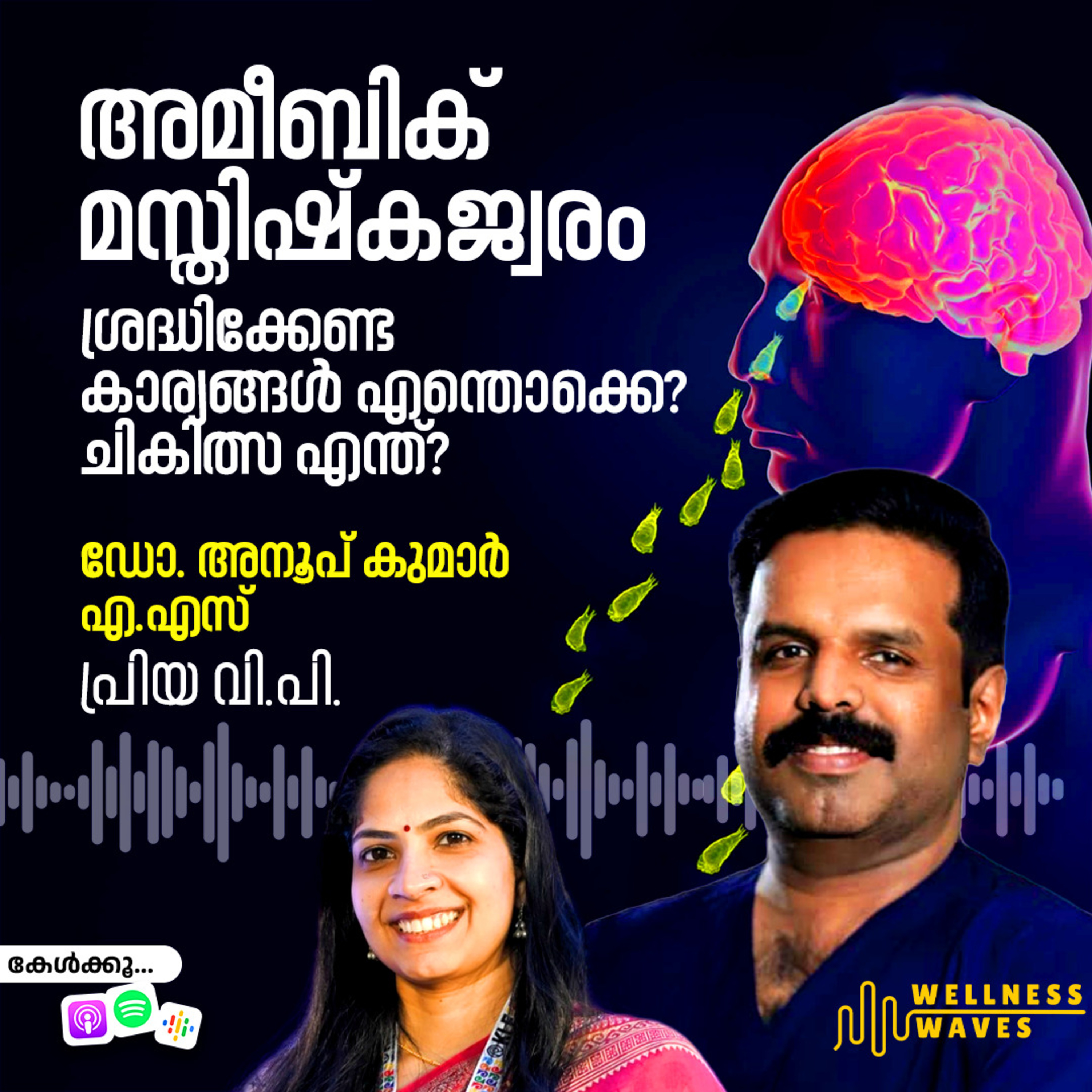അമീബിക് മസ്തിഷ്കജ്വരം: ശ്രദ്ധിക്കേണ്ട കാര്യങ്ങൾ എന്തൊക്കെ? ചികിത്സ എന്ത്? episode artwork