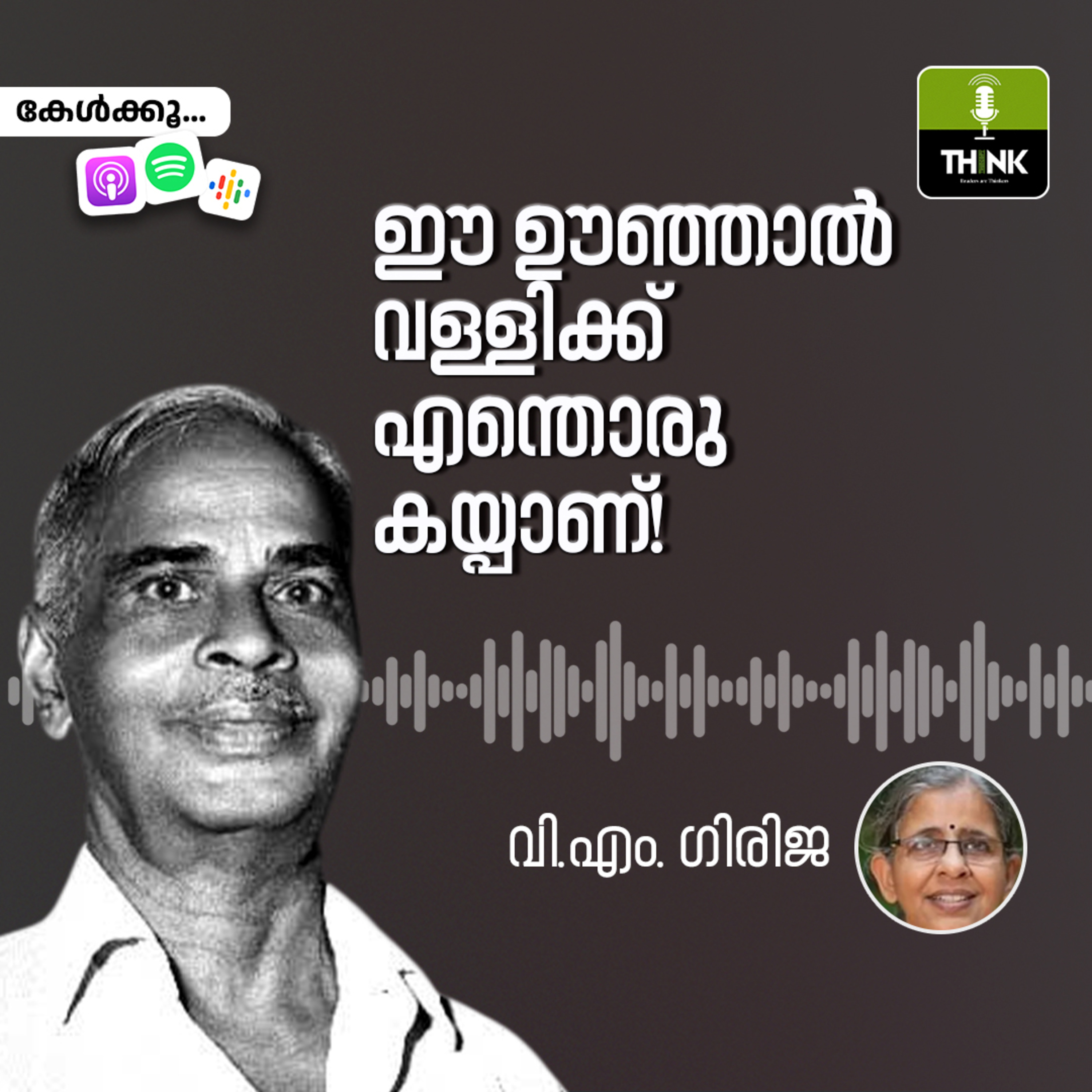 ഈ ഊഞ്ഞാൽ വള്ളിക്ക് എന്തൊരു കയ്പാണ്!  episode artwork