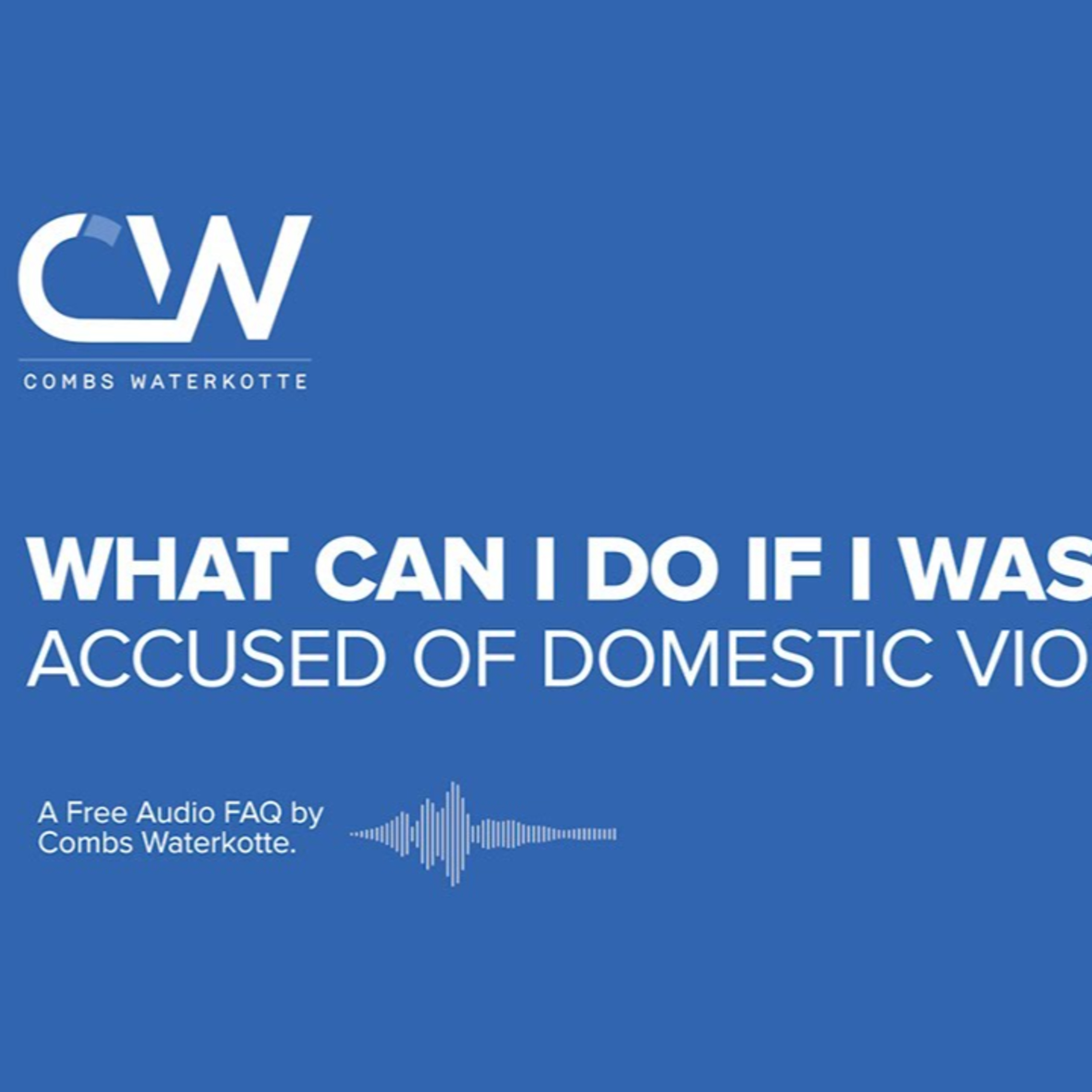 What Can I Do if I Was Falsely Accused of Domestic Violence? episode artwork