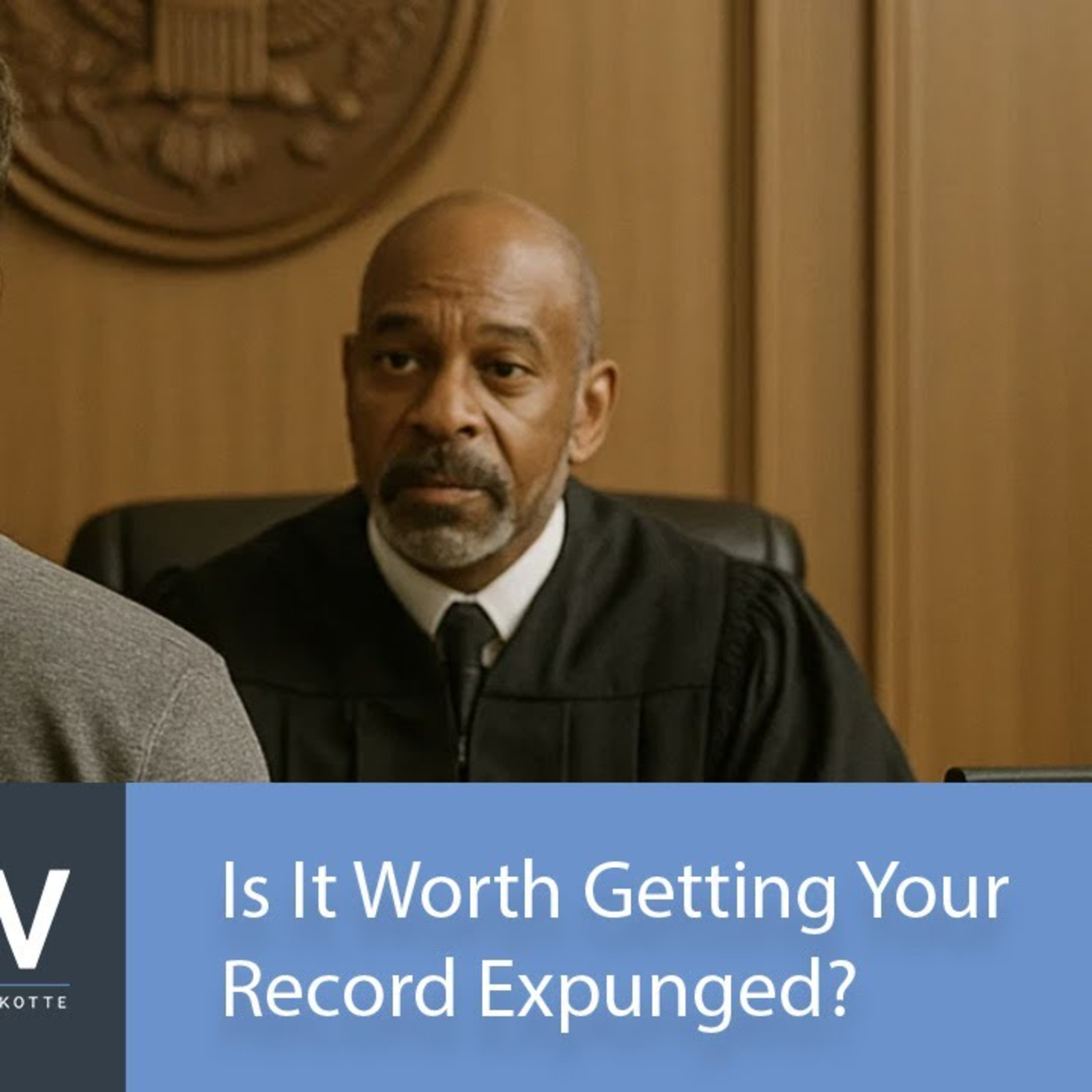 Is It Worth Getting Your Record Expunged? episode artwork