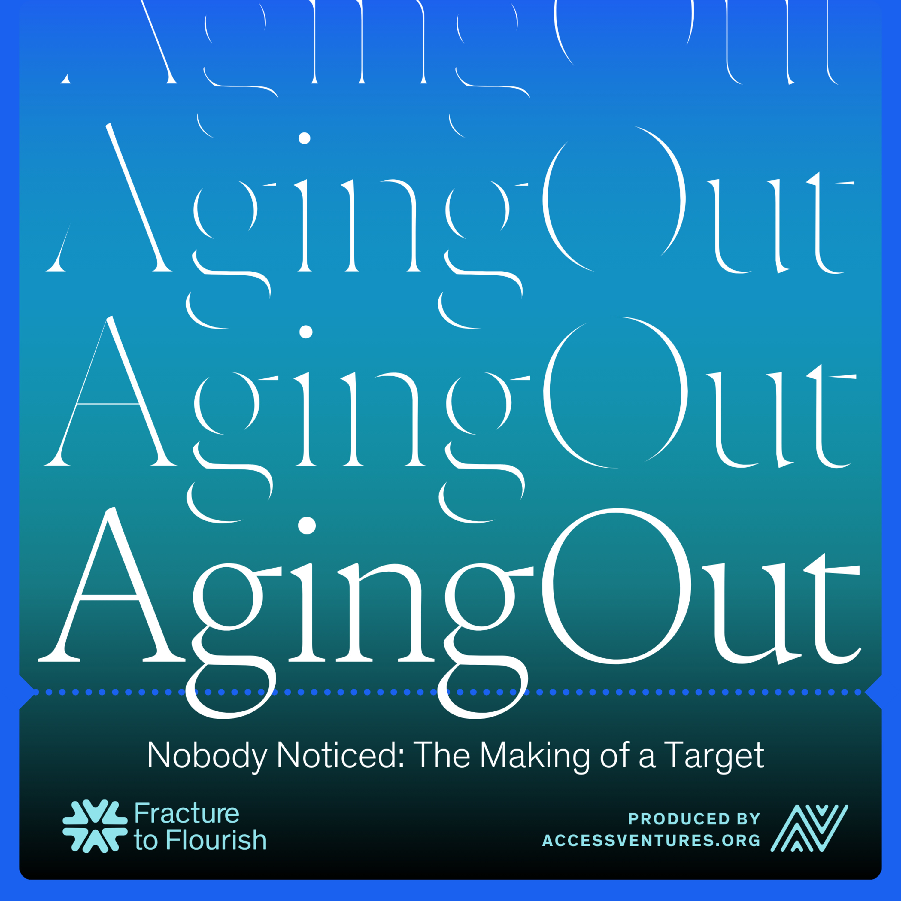 Nobody Noticed: The Making of a Target