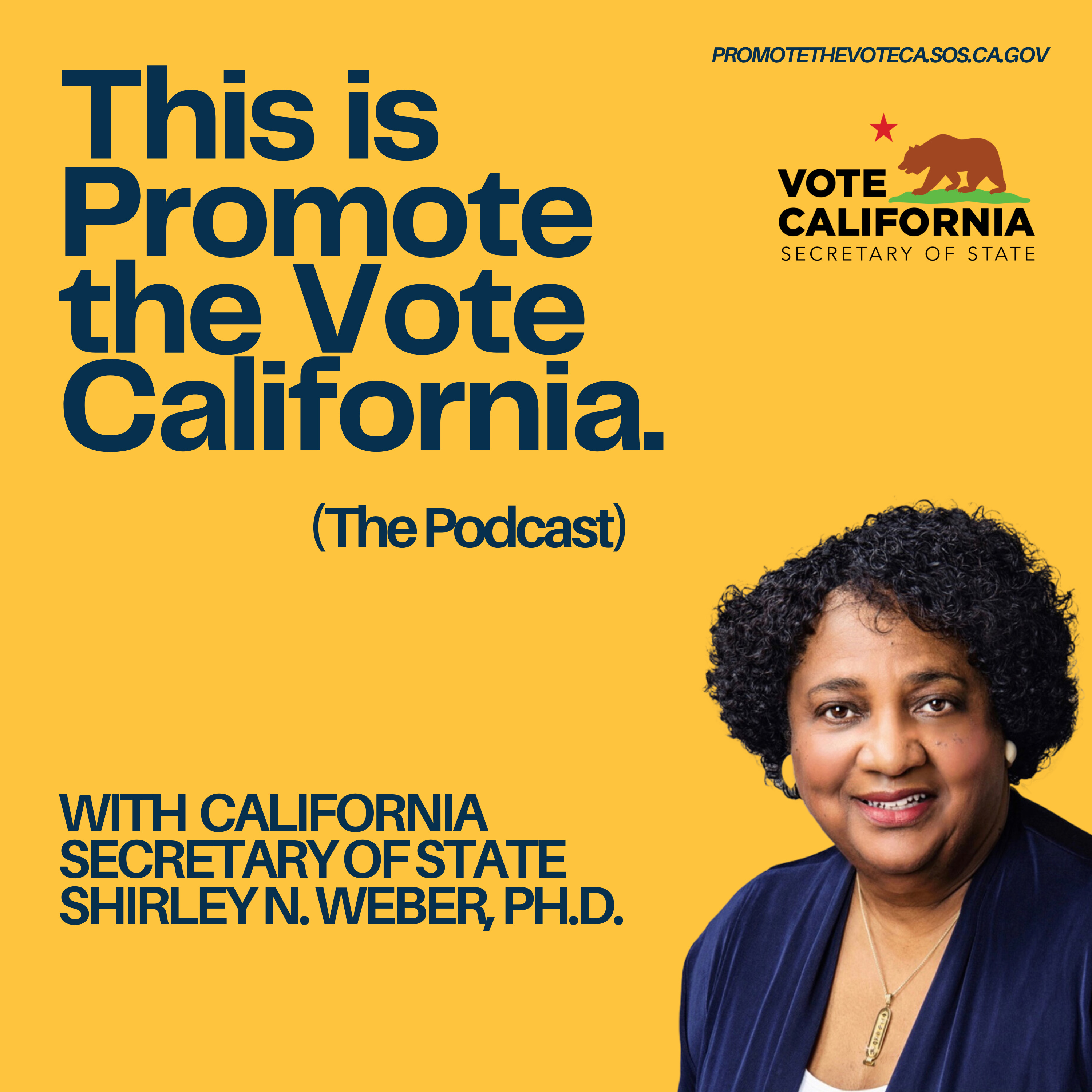 Episode 1: Voting Equity episode artwork
