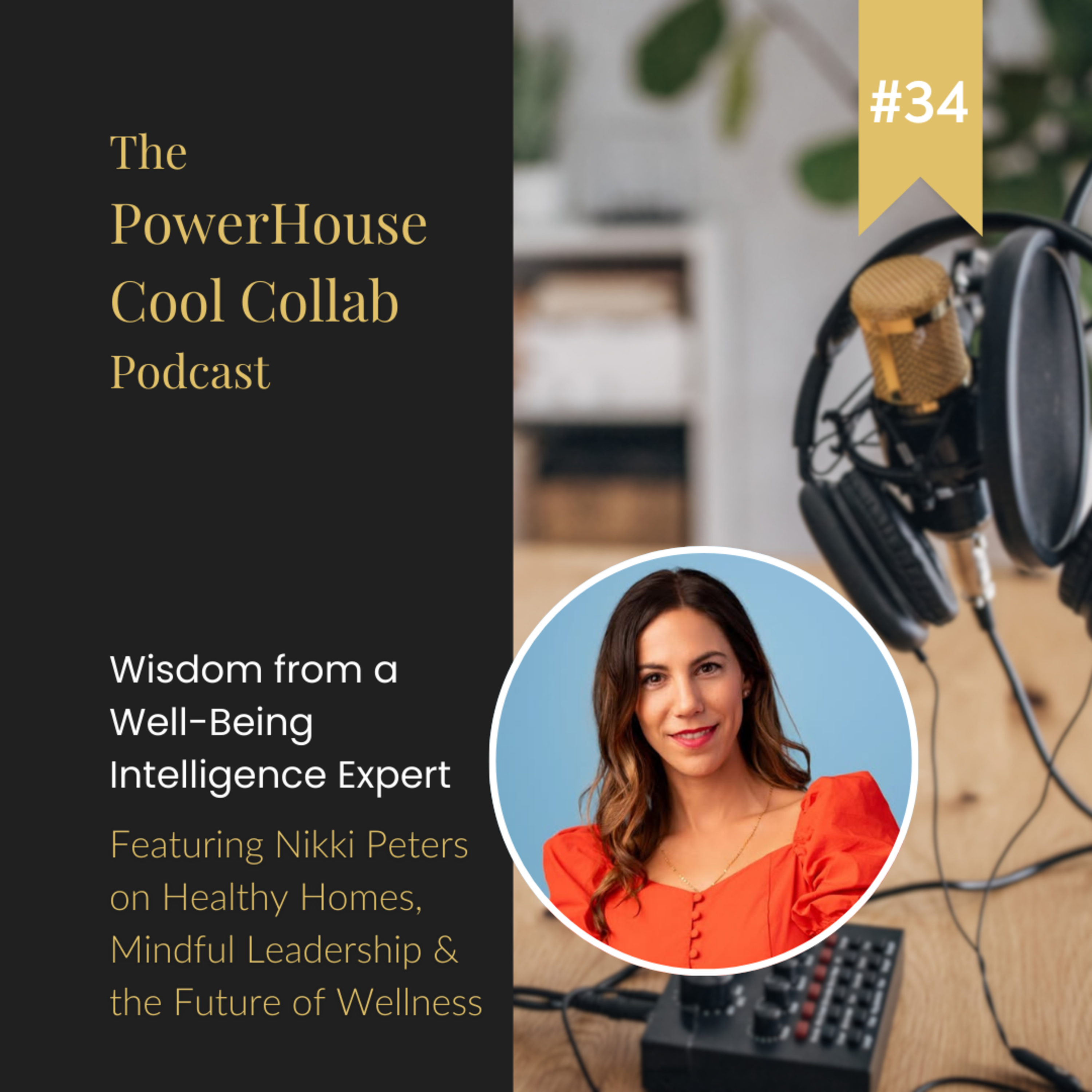 Wisdom from a Well-Being Intelligence Expert Featuring Nikki Peters on Healthy Homes, Mindful Leadership & the Future of Wellness