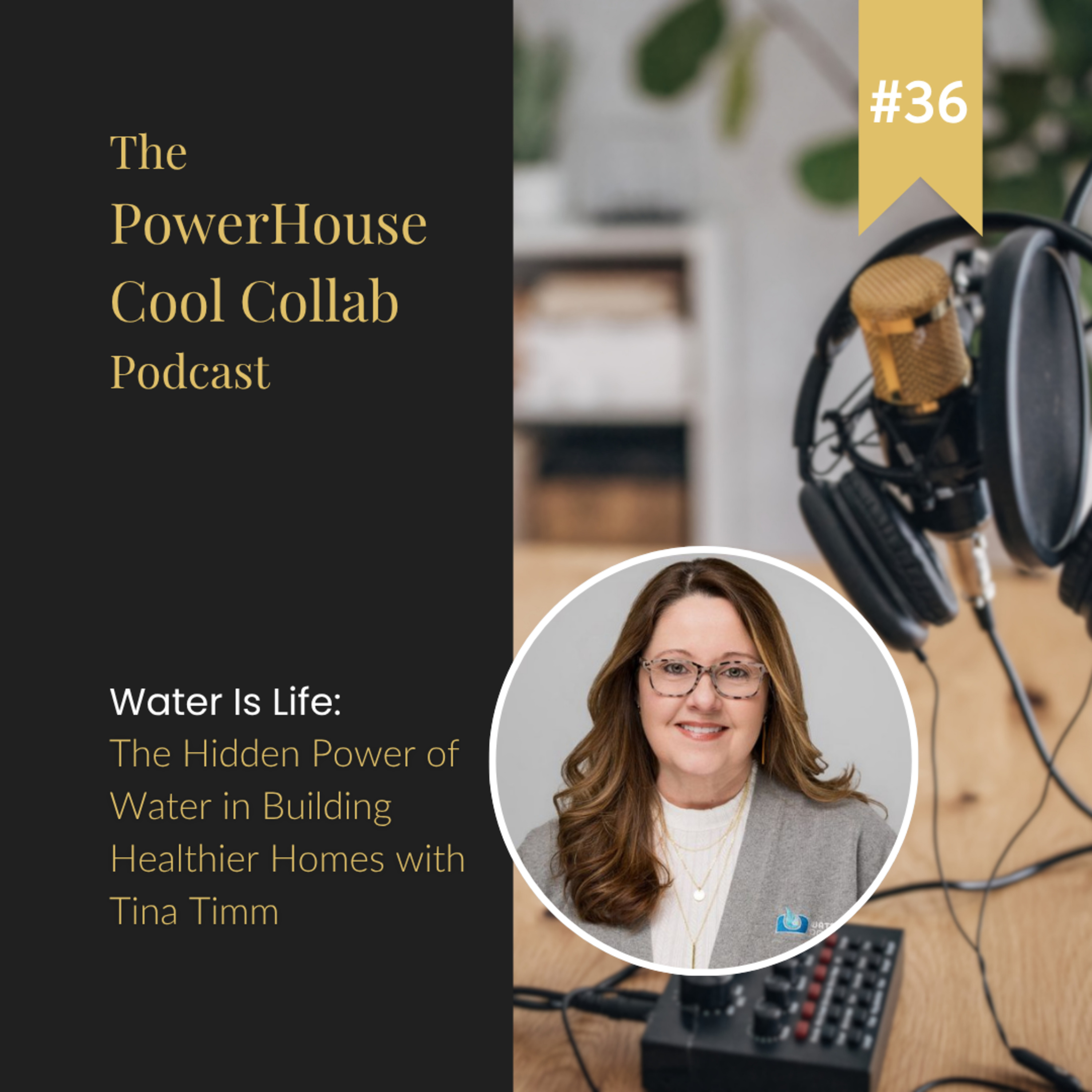 Water Is Life: The Hidden Power of Water in Building Healthier Homes with Tina Timm