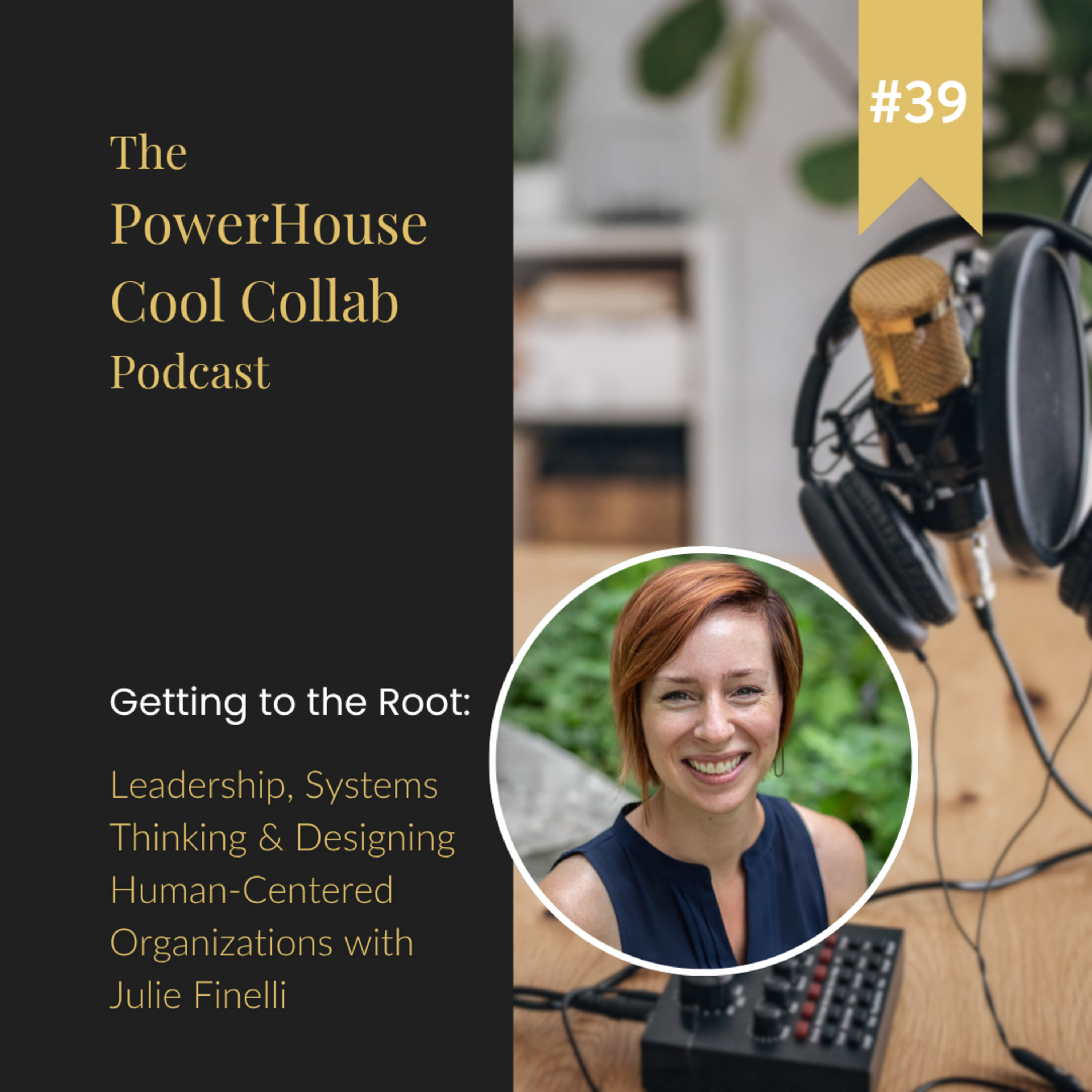 Getting to the Root: Leadership, Systems Thinking & Designing Human-Centered Organizations with Julie Finelli episode artwork