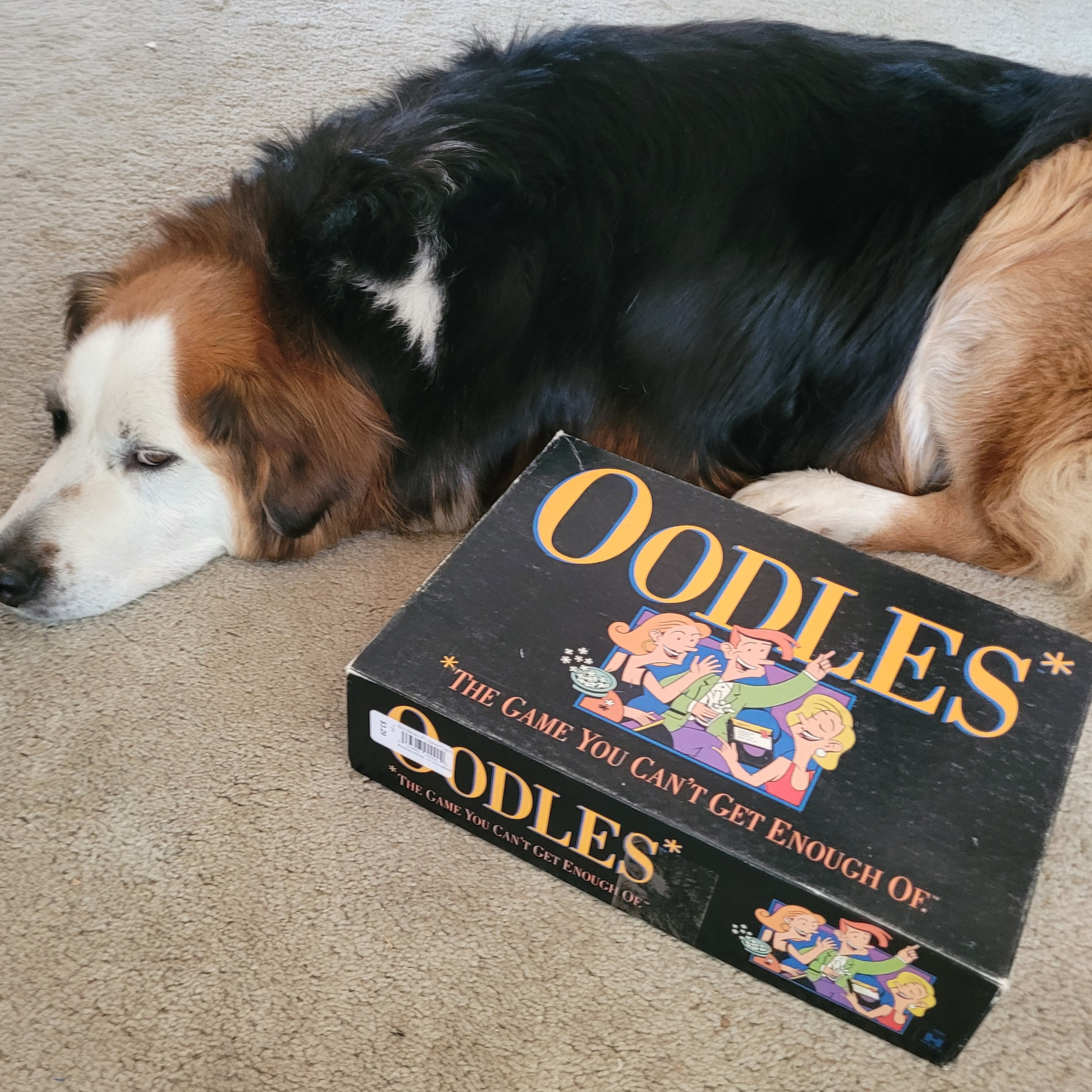 Oodles episode artwork