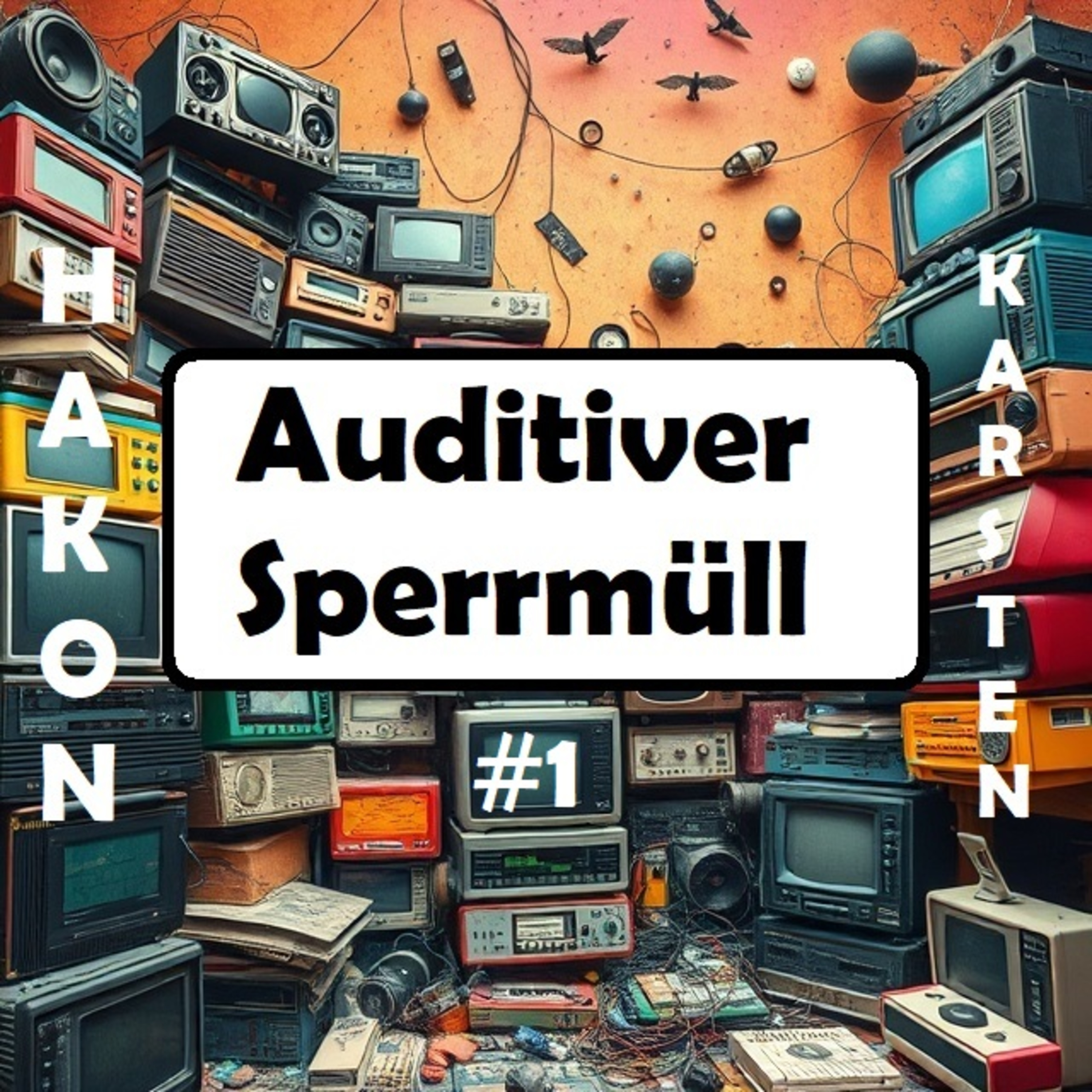 Auditiver Sperrmüll