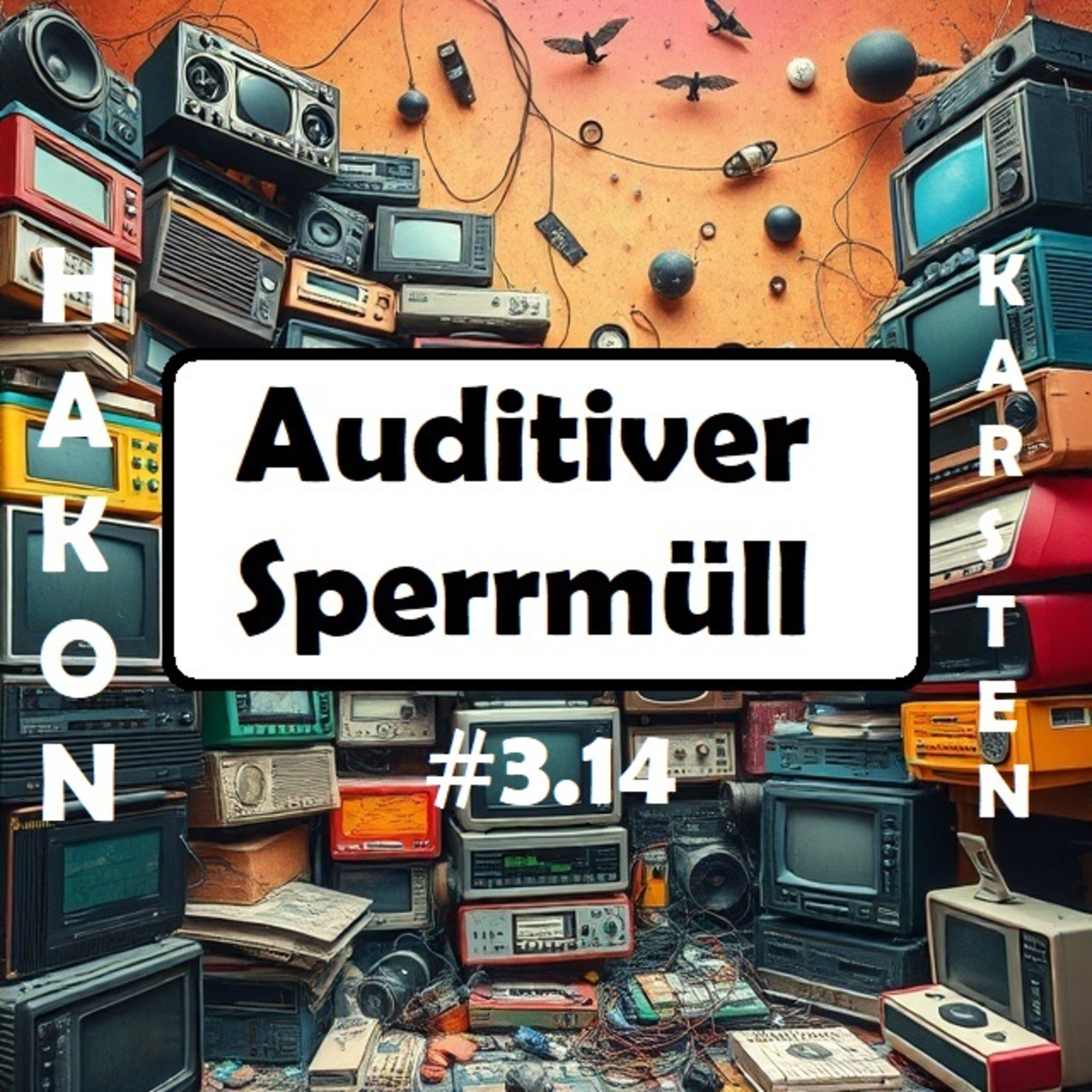 Auditiver Sperrmüll