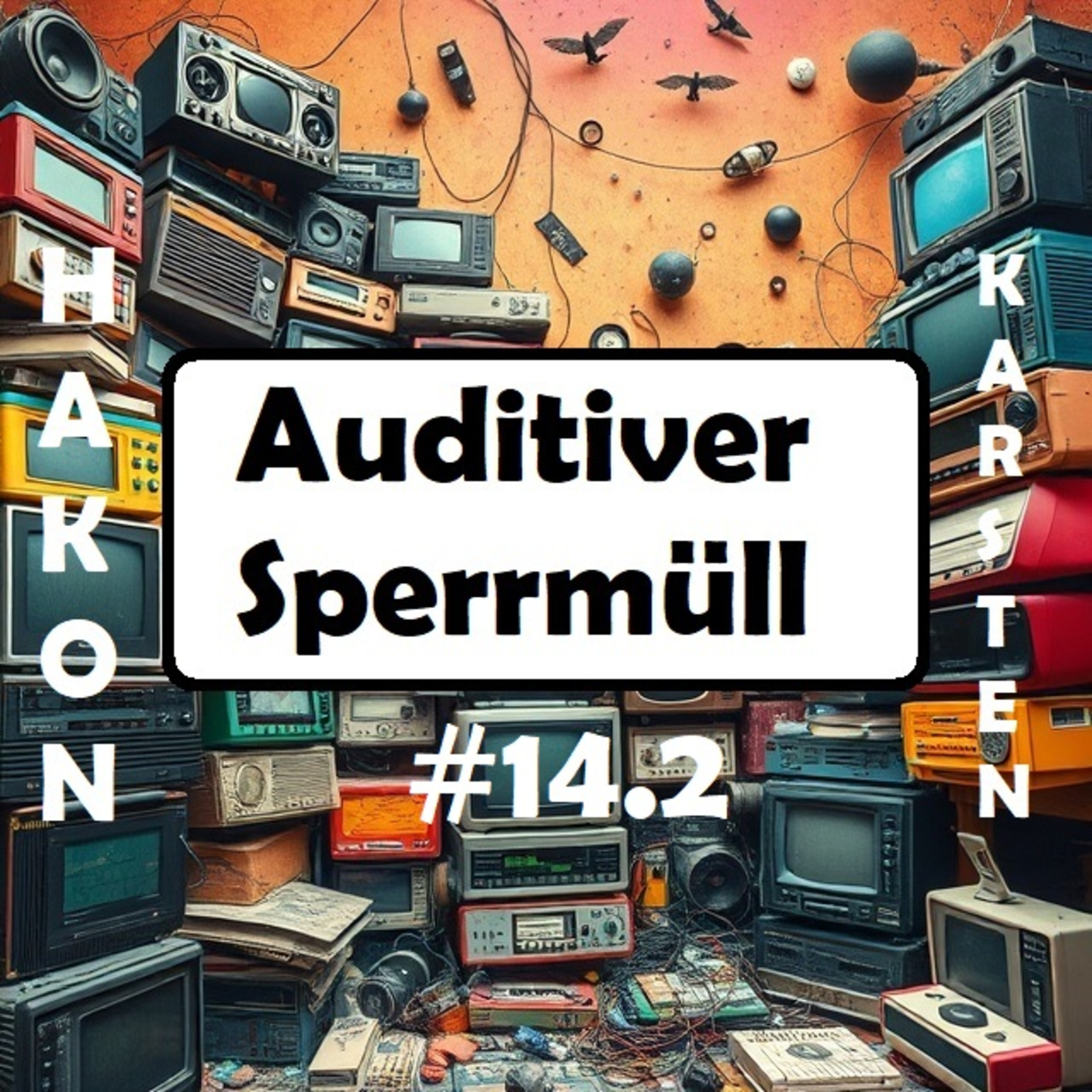 Auditiver Sperrmüll