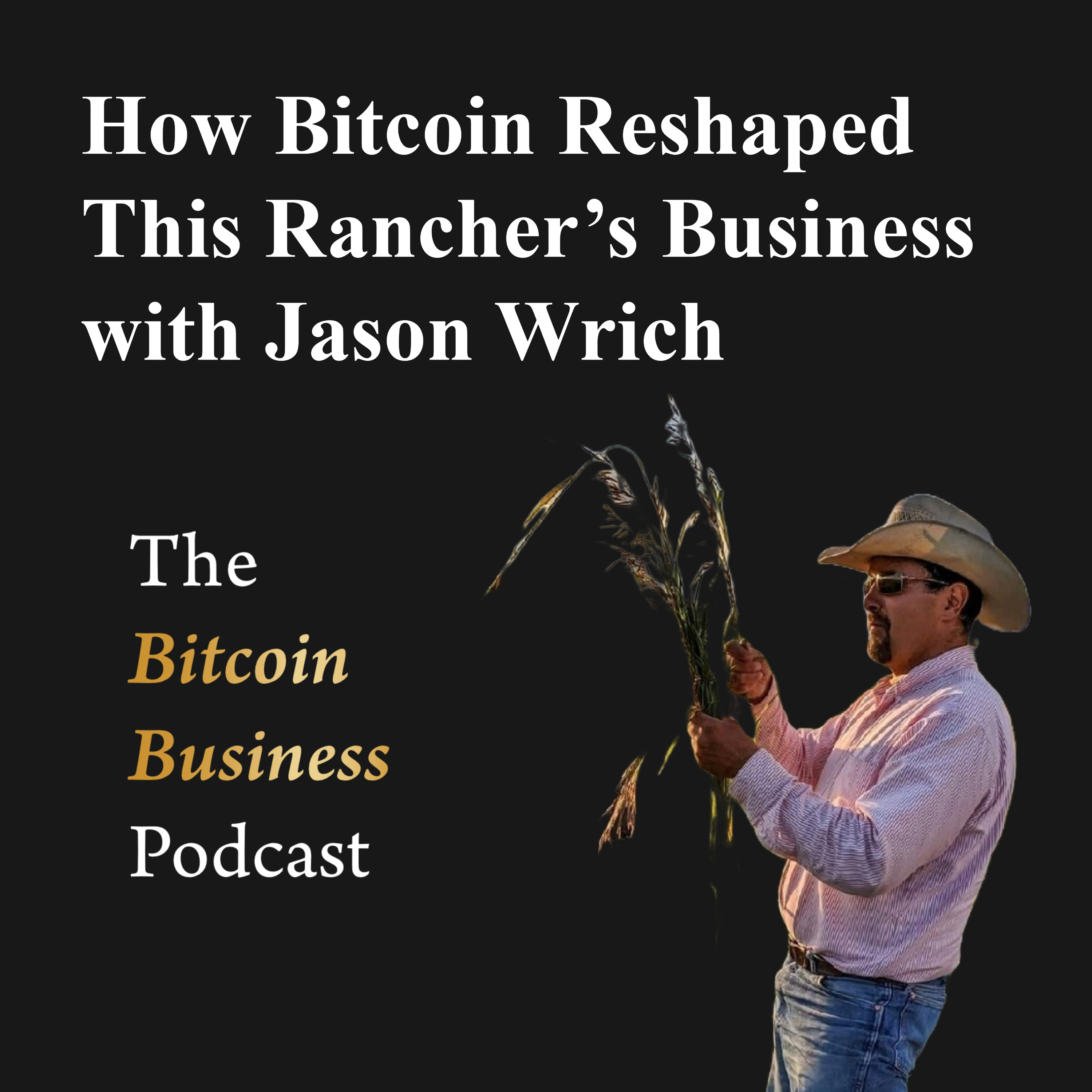 The Bitcoin Business Podcast