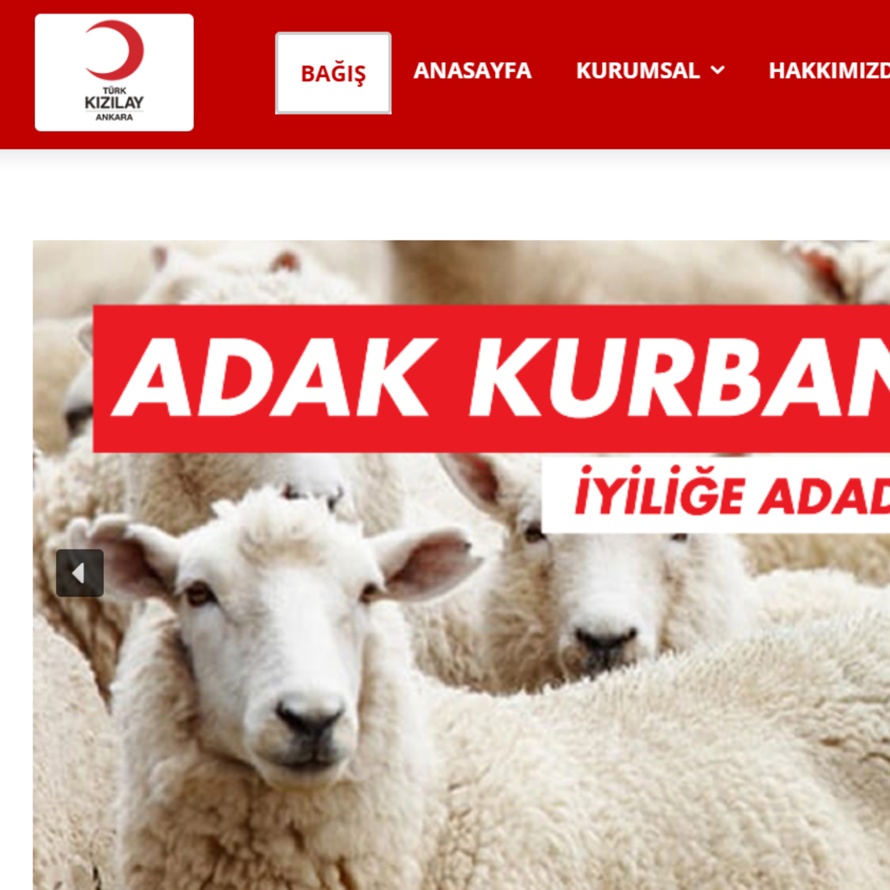 FOR AGENCYX