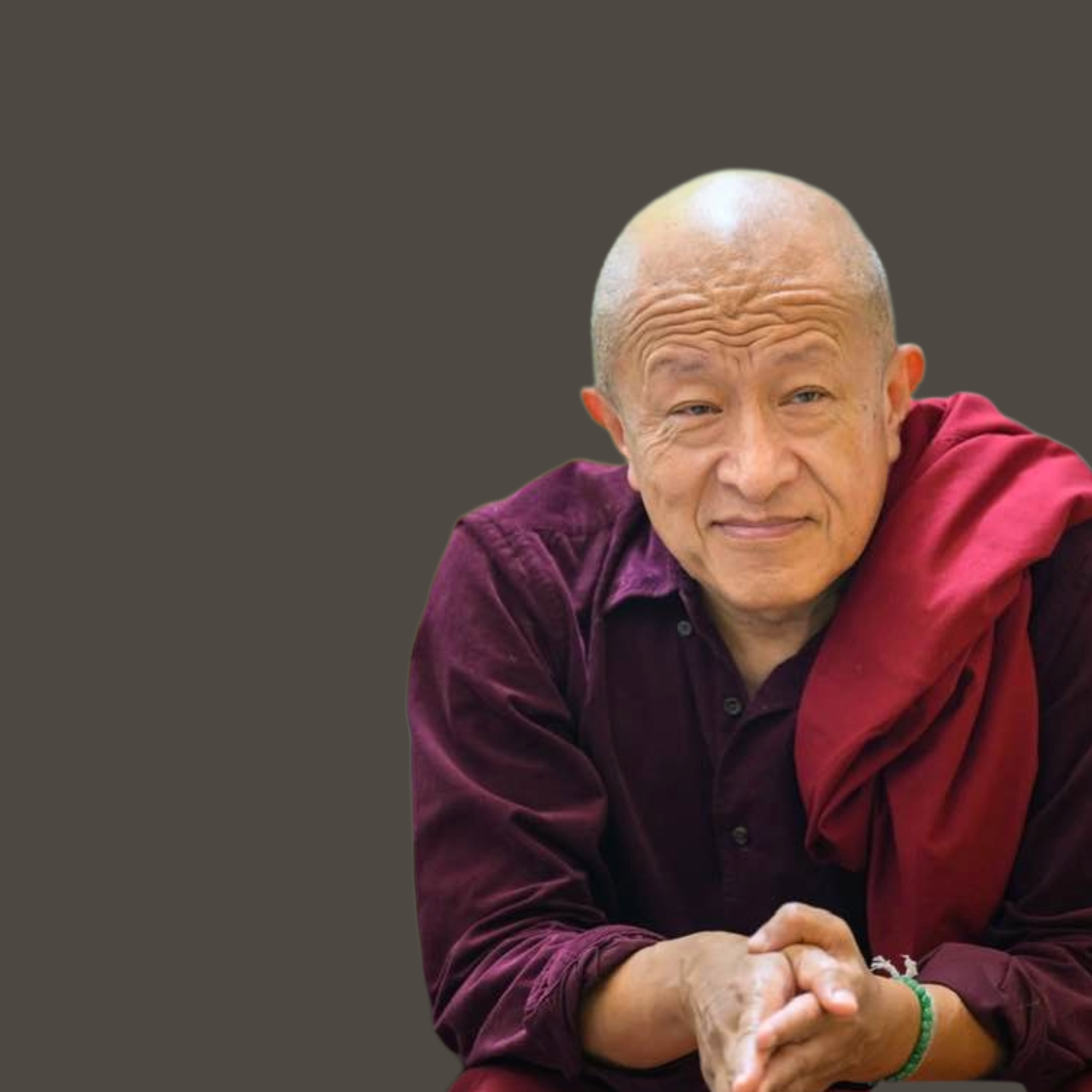 Když jsme chyceni v síti, nejsme svobodní. Víte co je onou sítí? (část 1)-Dzongsar Khyentse Rinpočhe