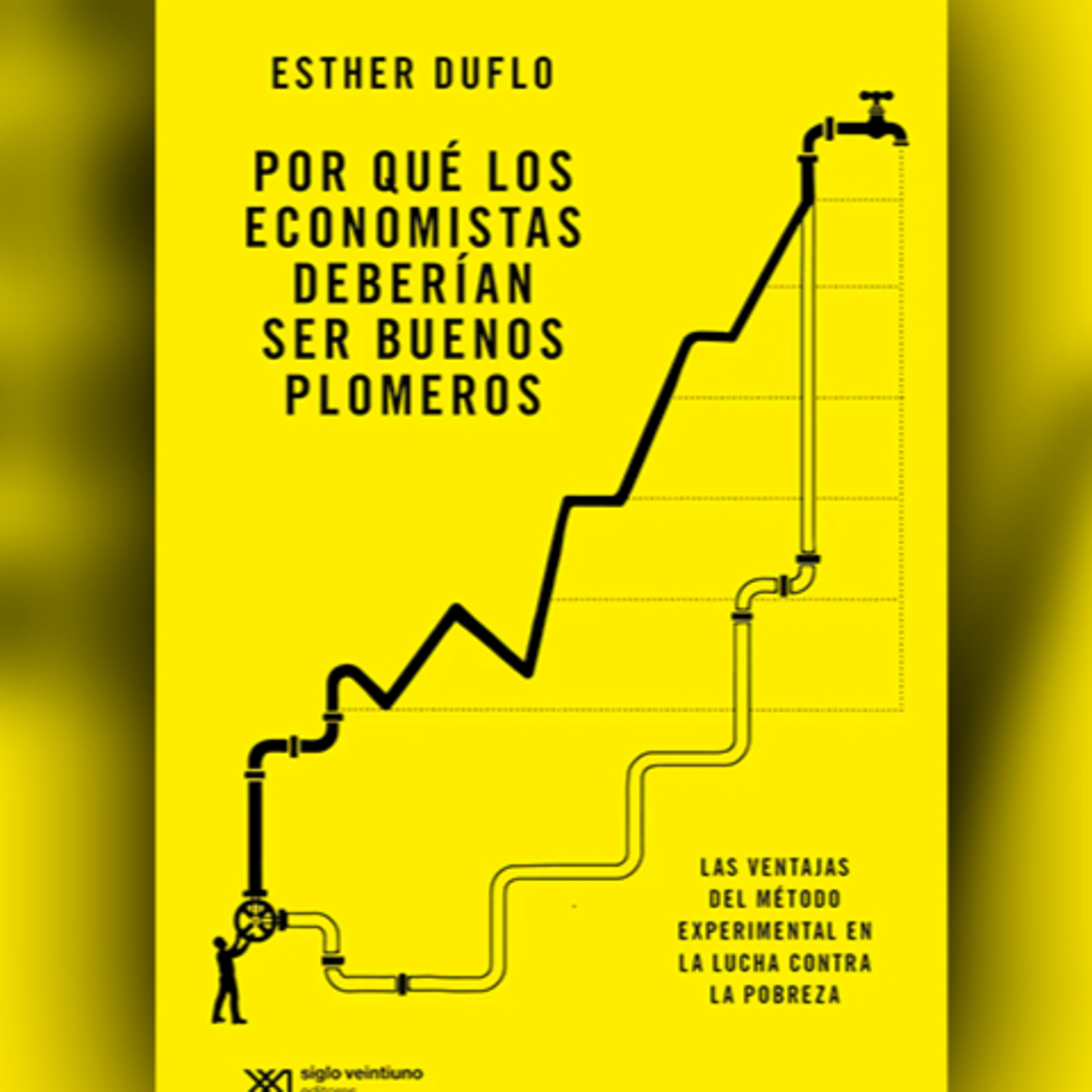 Por qué los economistas deberían pensar como plomeros episode artwork