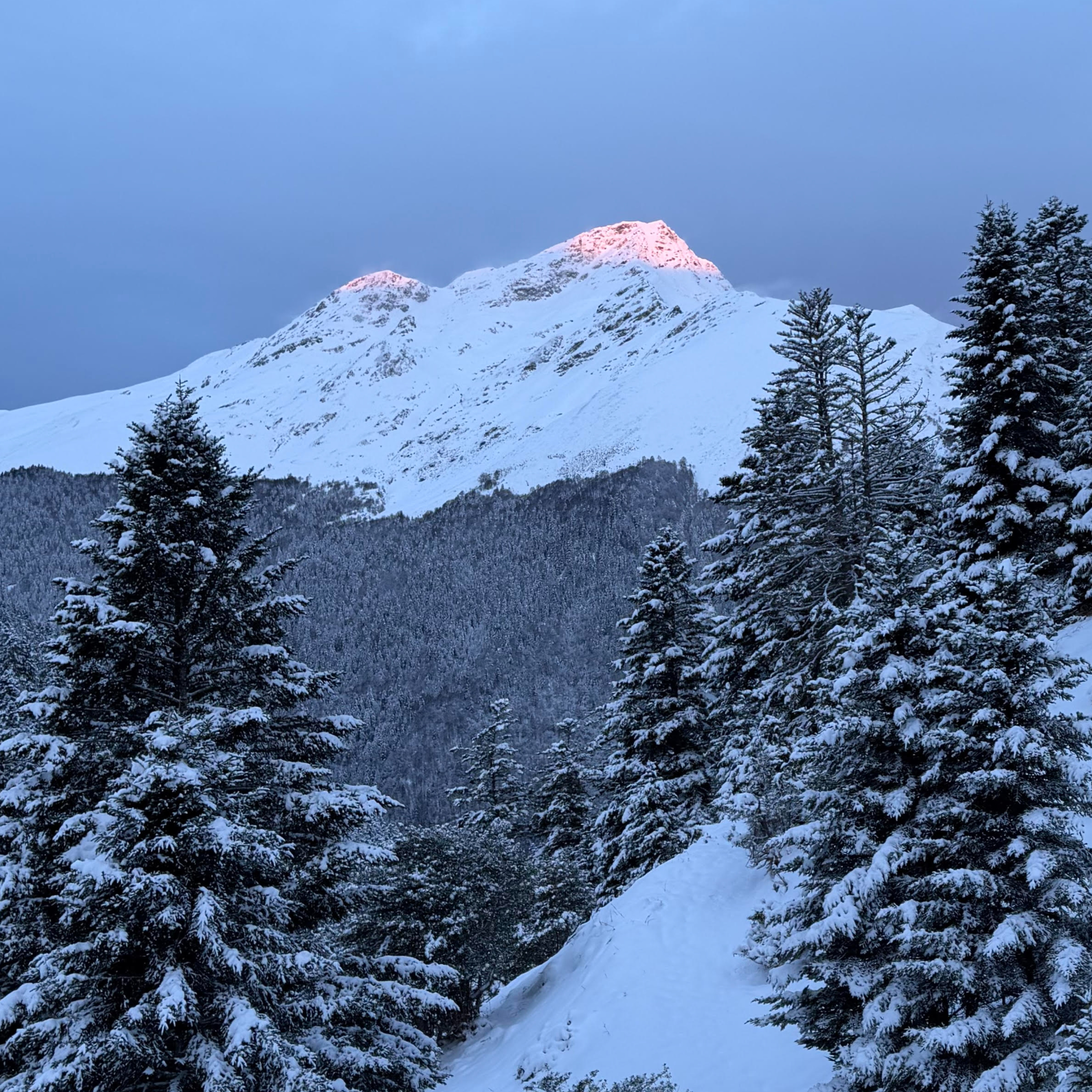 Training diaries, race week, volume stats and routines, doubles/triples, psychology, race calendar, Western-UTMB tantalizing double episode artwork